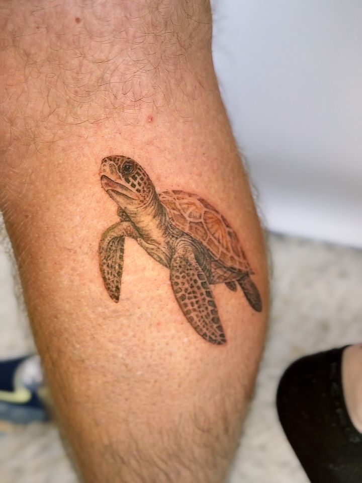 Sea turtle realism tattoo on the forearm by Yuri Chloe Ngo Tattoo Artist