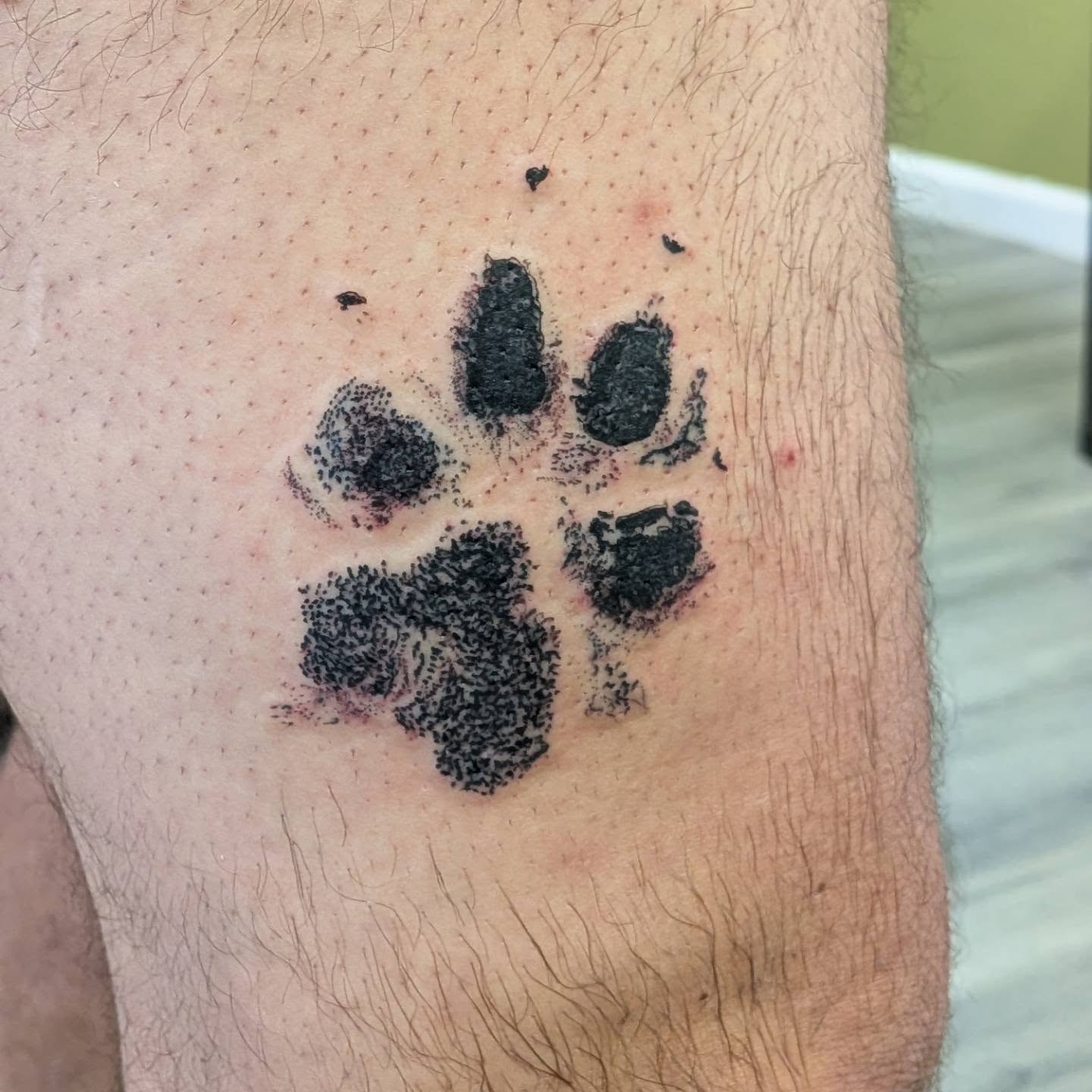 Paw print dotwork tattoo on the forearm by Ryan