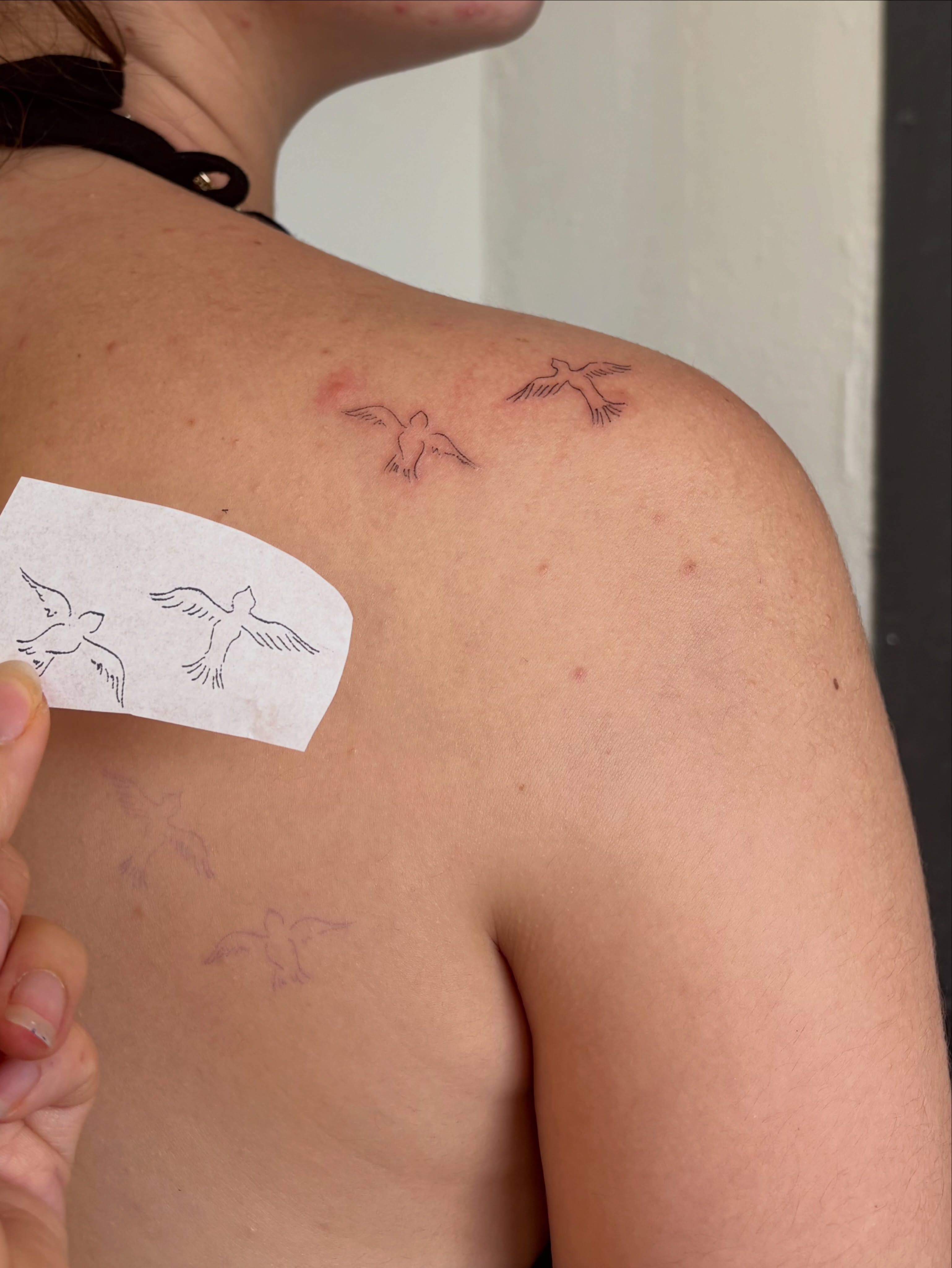 Birds fine line tattoo on the shoulder by annie’s tattoos ⭐꩜ .ᐟ
