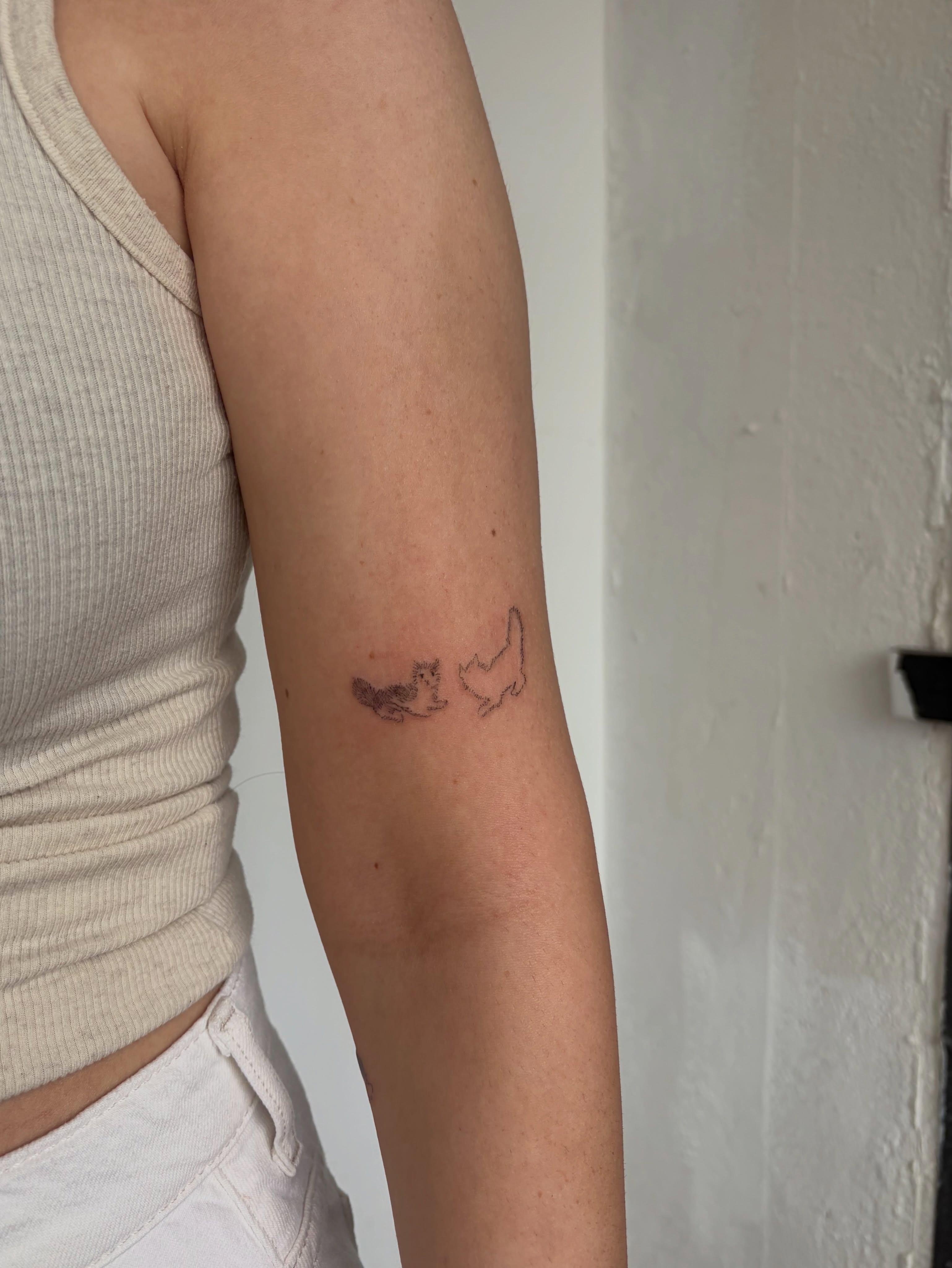Cat and dog black and grey tattoo on the forearm by annie’s tattoos ⭐꩜ .ᐟ