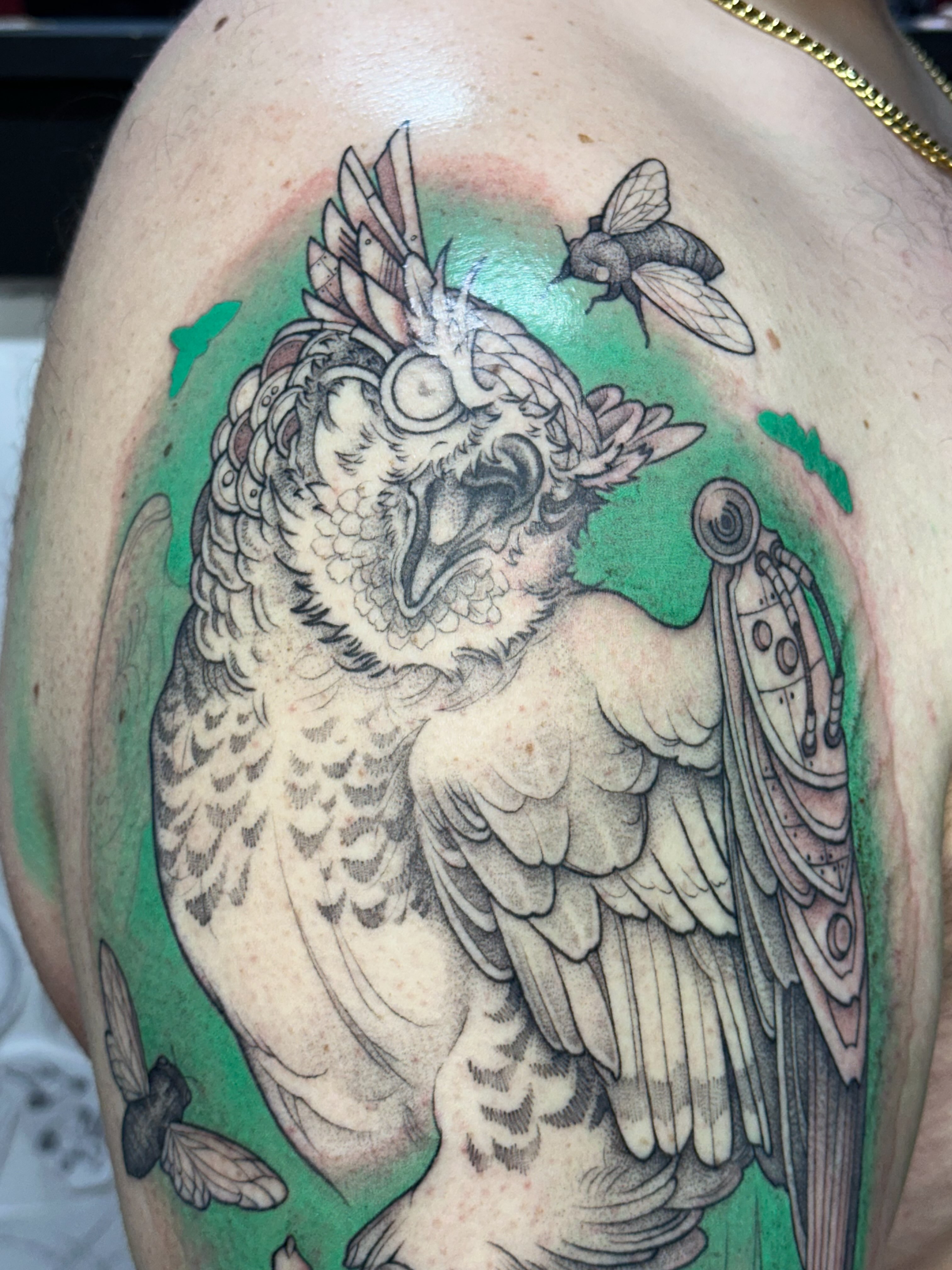 Owl realism tattoo on the shoulder by Izabelle Inks