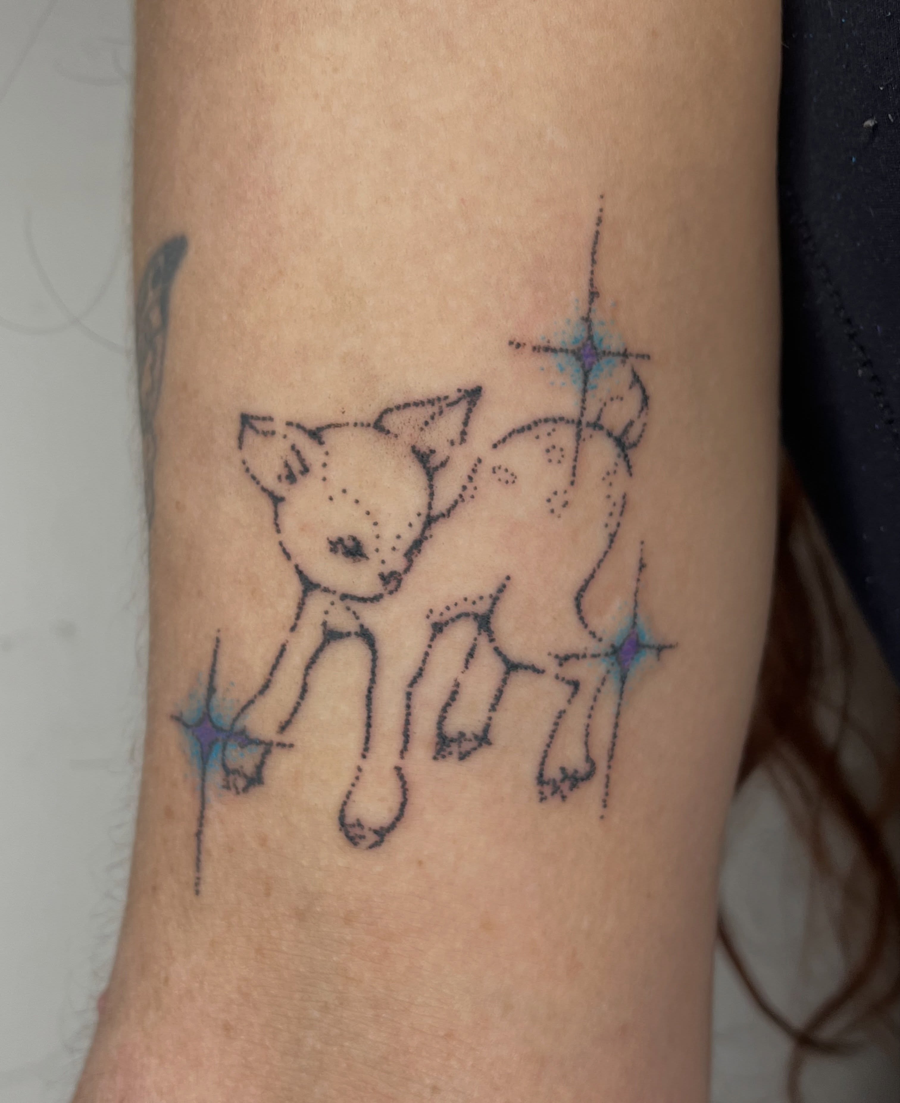 Dog with stars dotwork tattoo on the forearm by ana