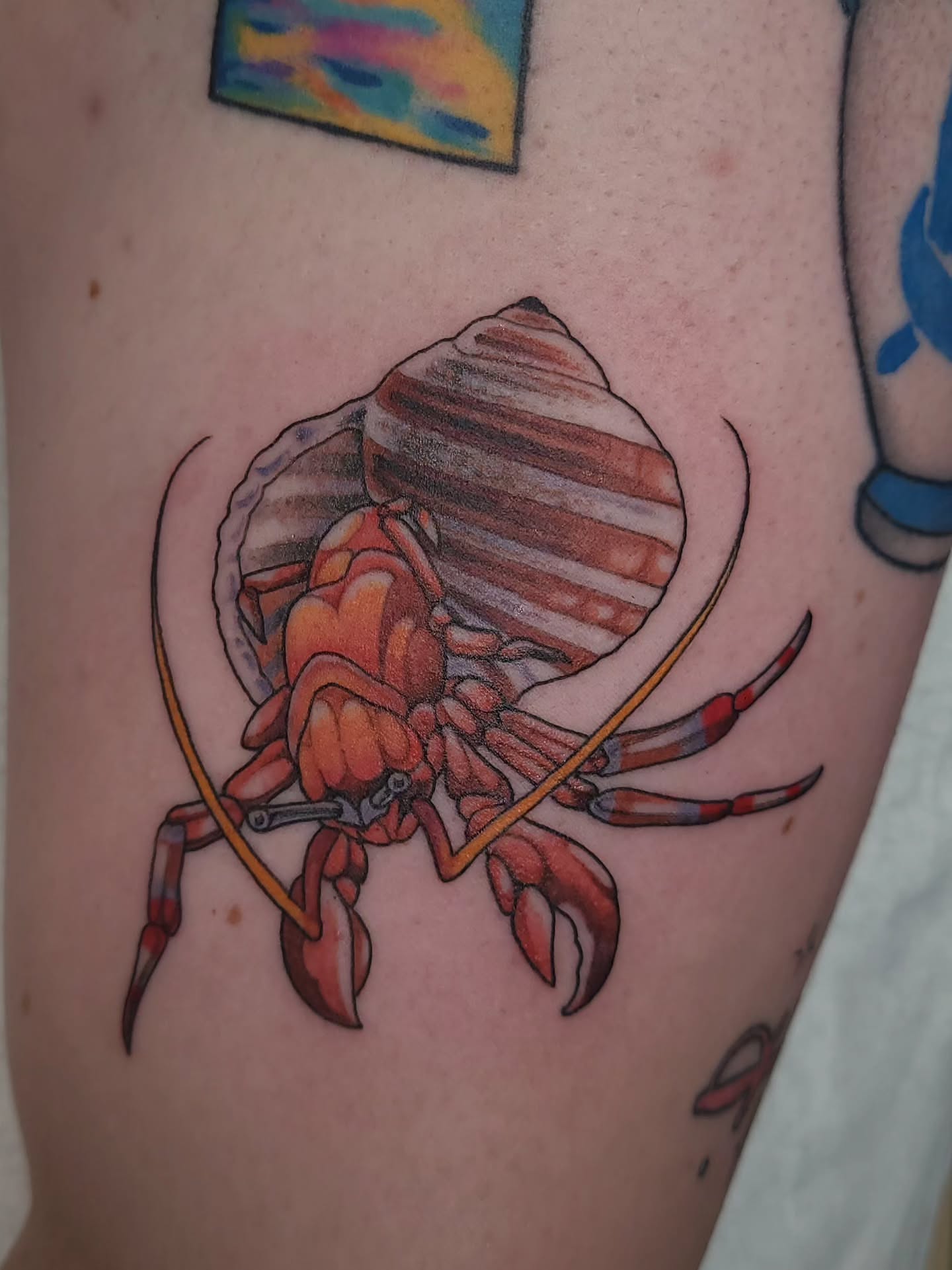 Hermit crab realism tattoo on the thigh by David Vodicka