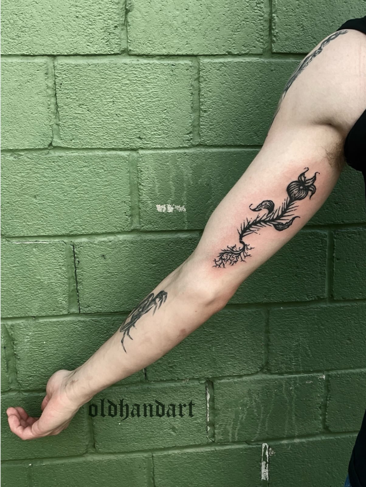 Flower and root black and grey tattoo on the forearm by ๐ญ๐๐๐๐