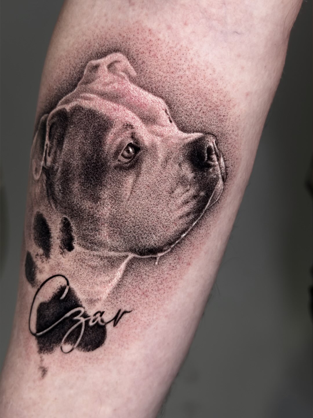 Dog portrait dotwork tattoo on the forearm by Fabian Hellberg
