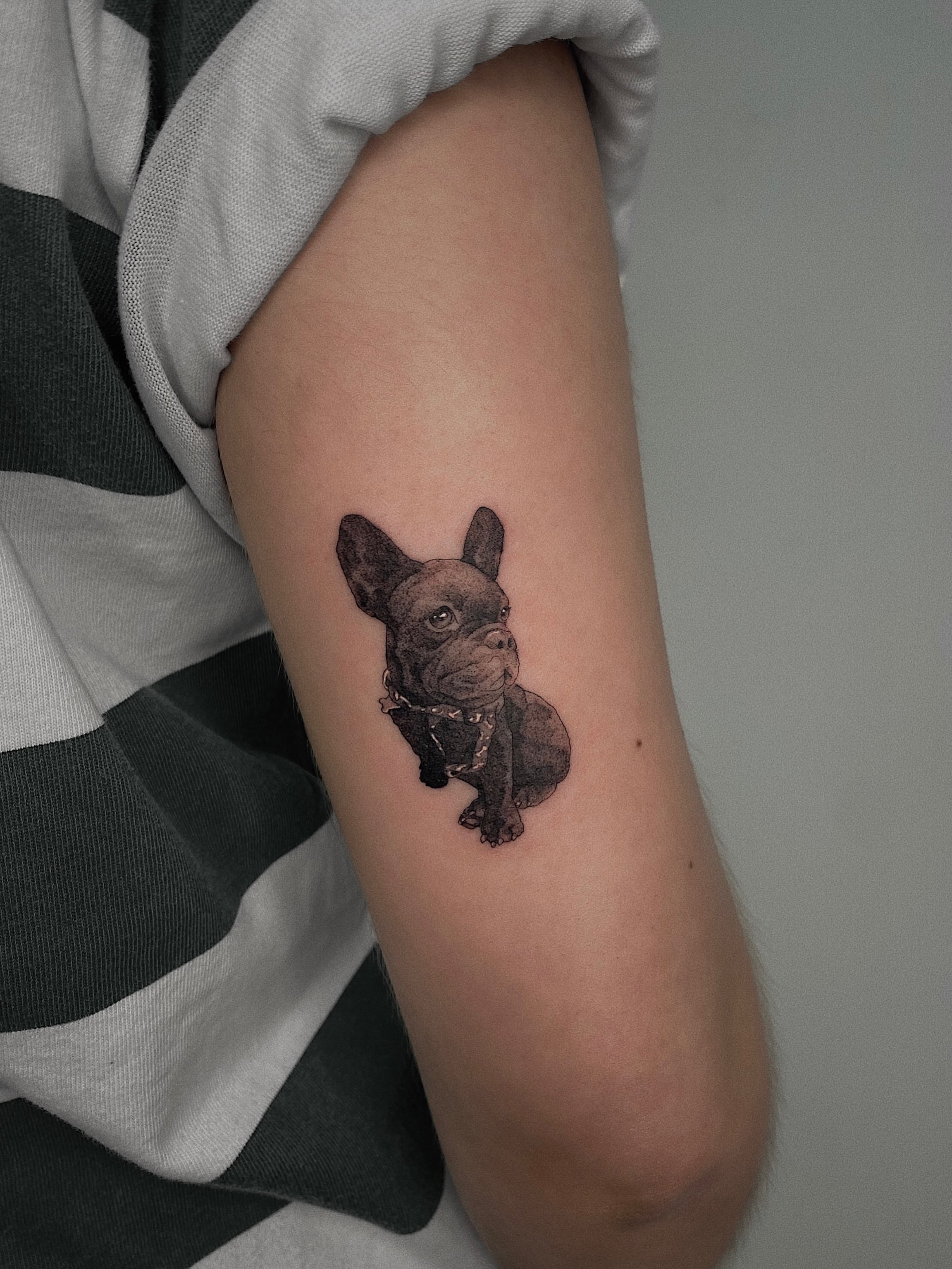French bulldog realism tattoo on the forearm by Fabian Hellberg