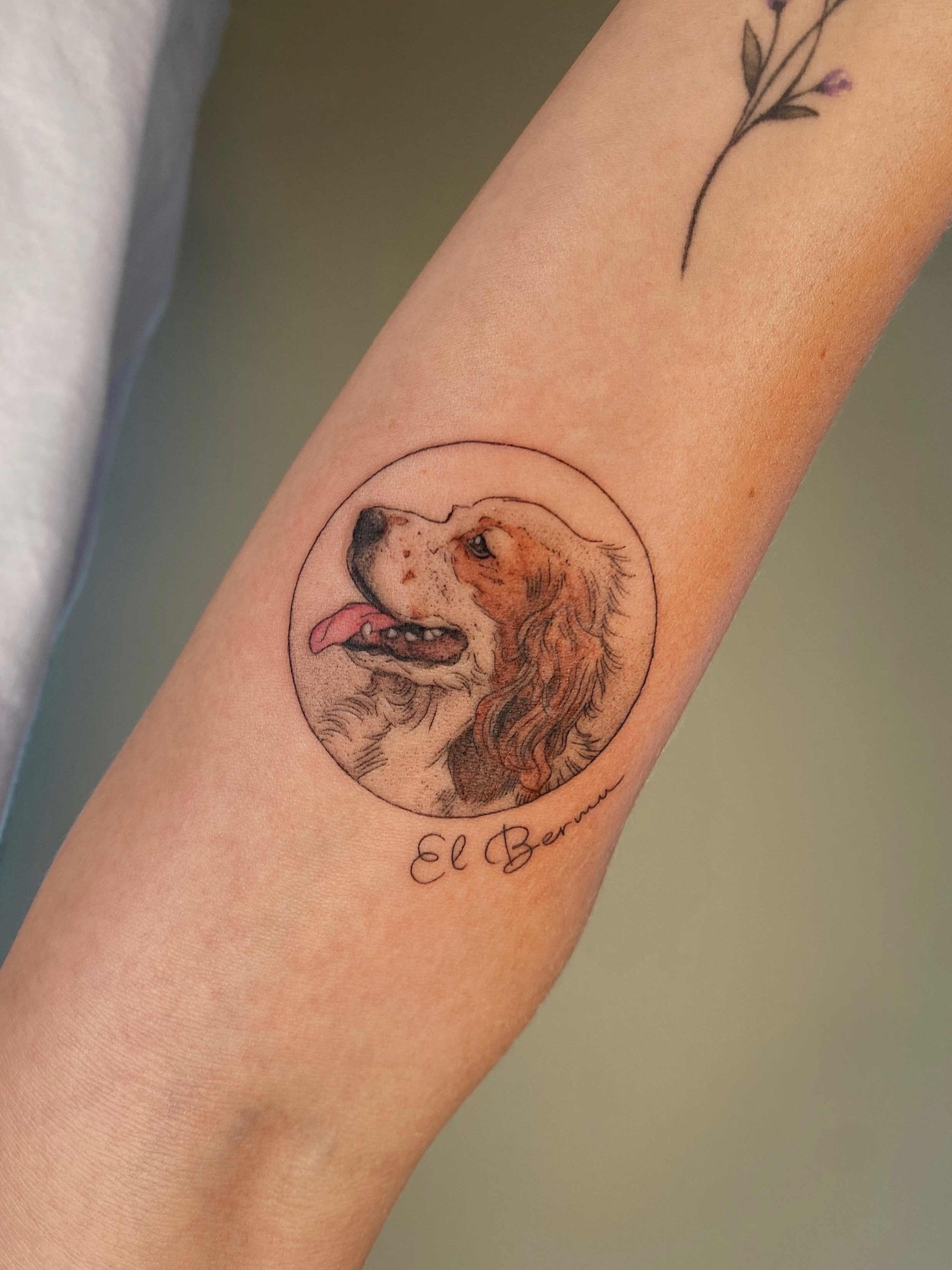 Dog portrait realism tattoo on the forearm by Fabian Hellberg