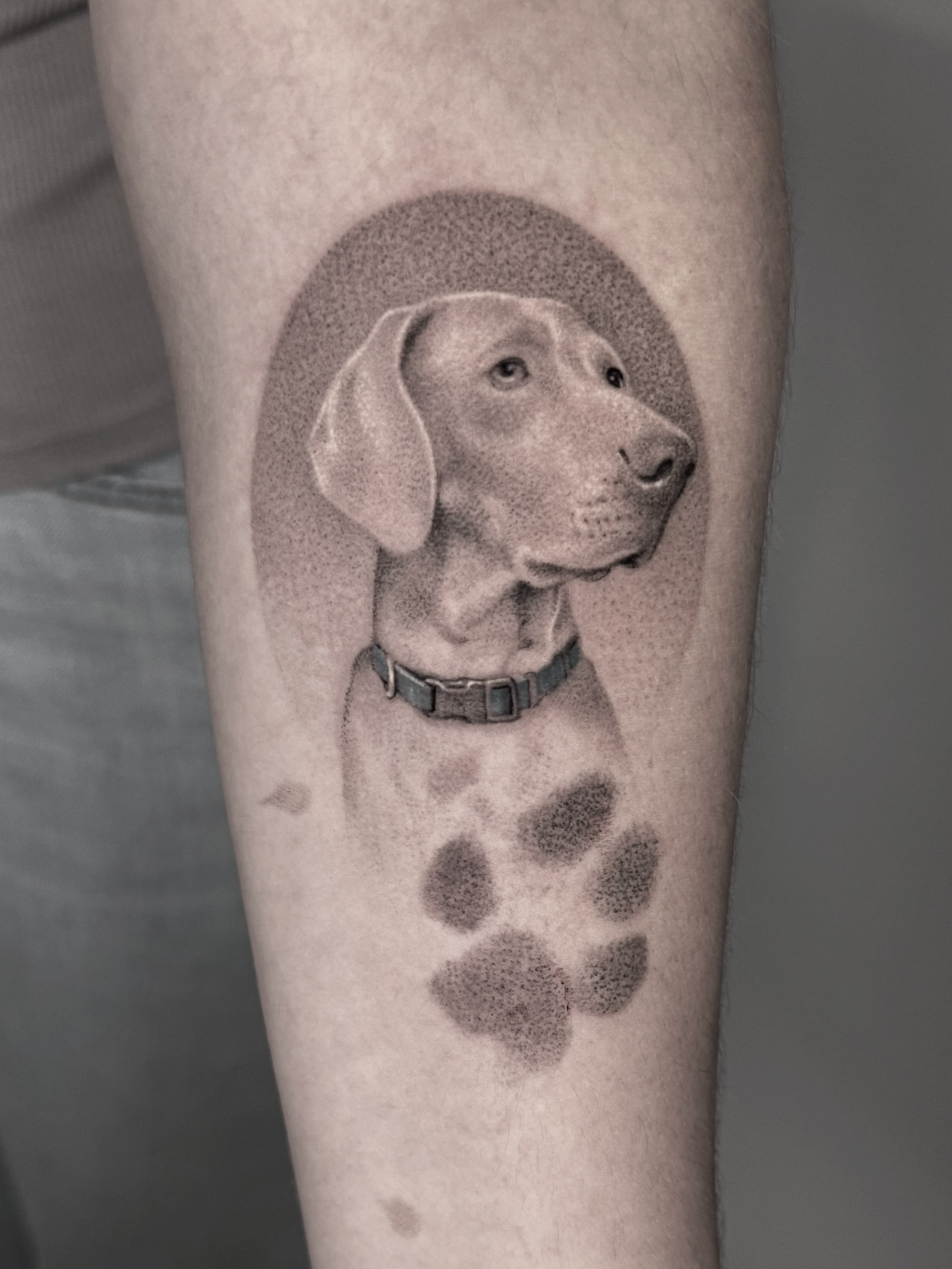 Dog portrait dotwork tattoo on the forearm by Fabian Hellberg