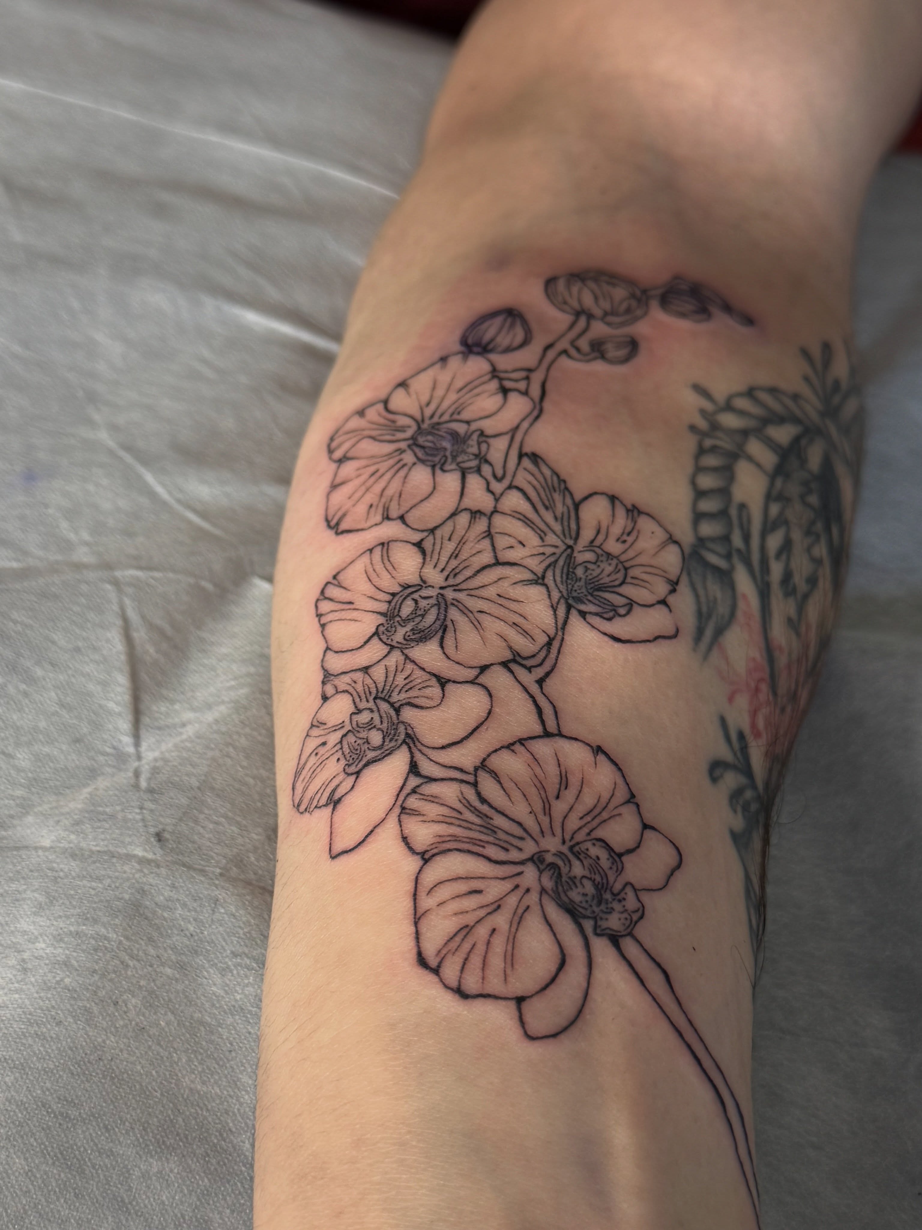Tattoo by @madamerubis — black_and_grey