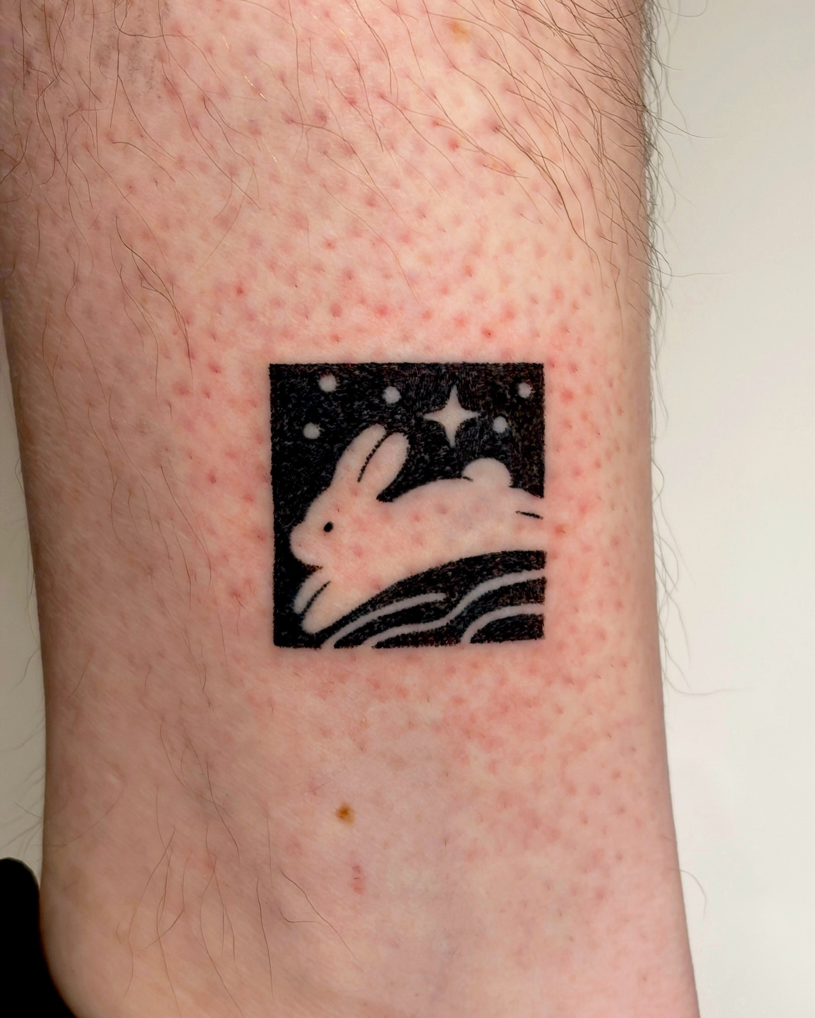 Rabbit dotwork tattoo on the forearm by alli ミ☆