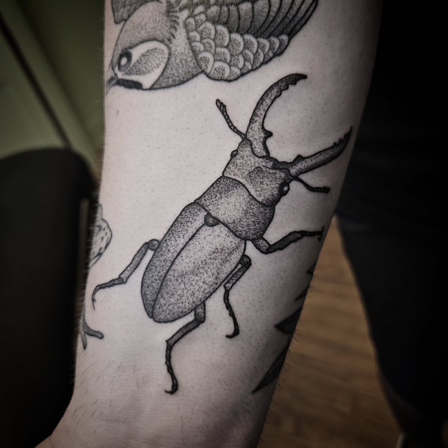 Stag beetle dotwork tattoo on the forearm by Kirk George