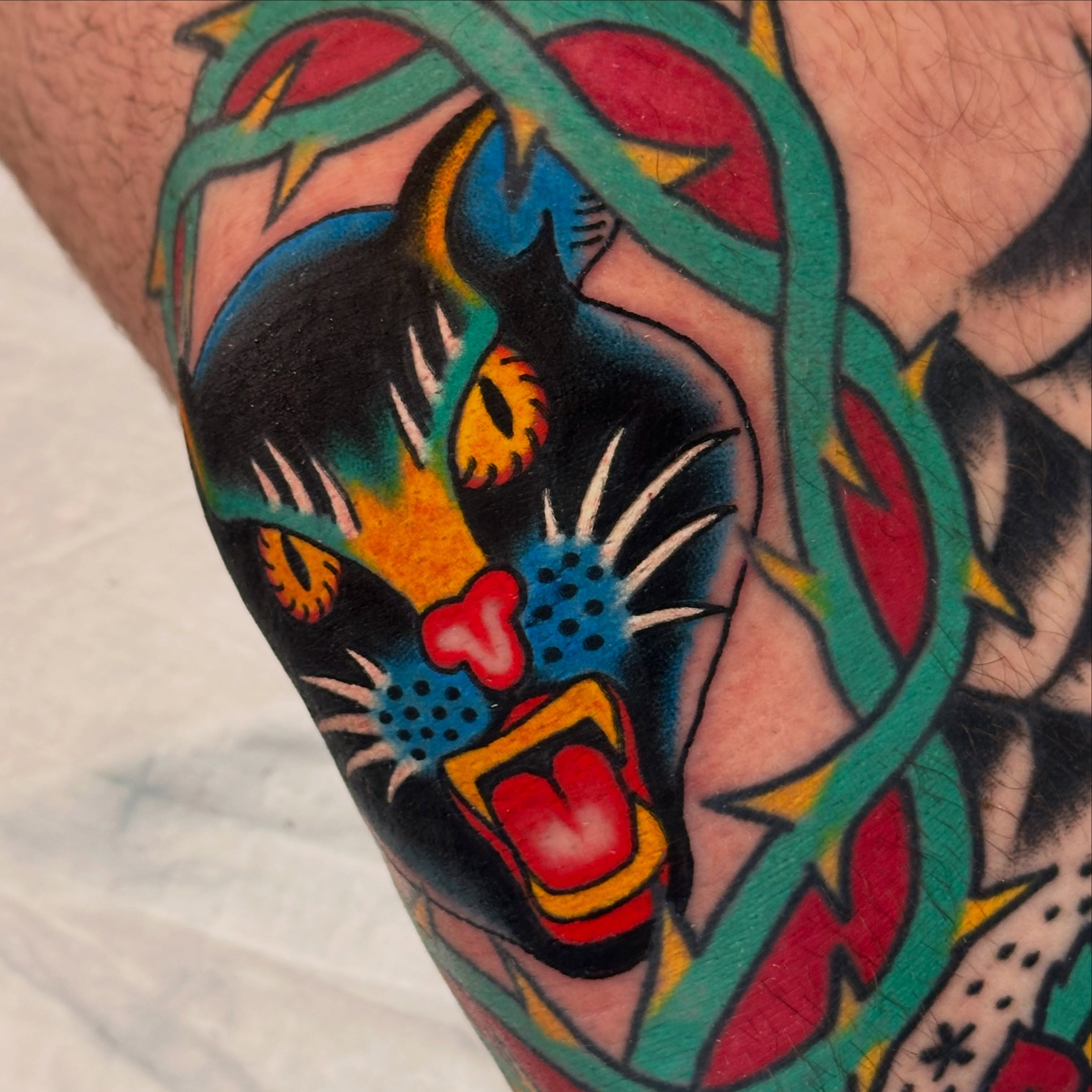 Panther American traditional tattoo on the forearm by Kiki Painmaker Trad Tattooer 🧨