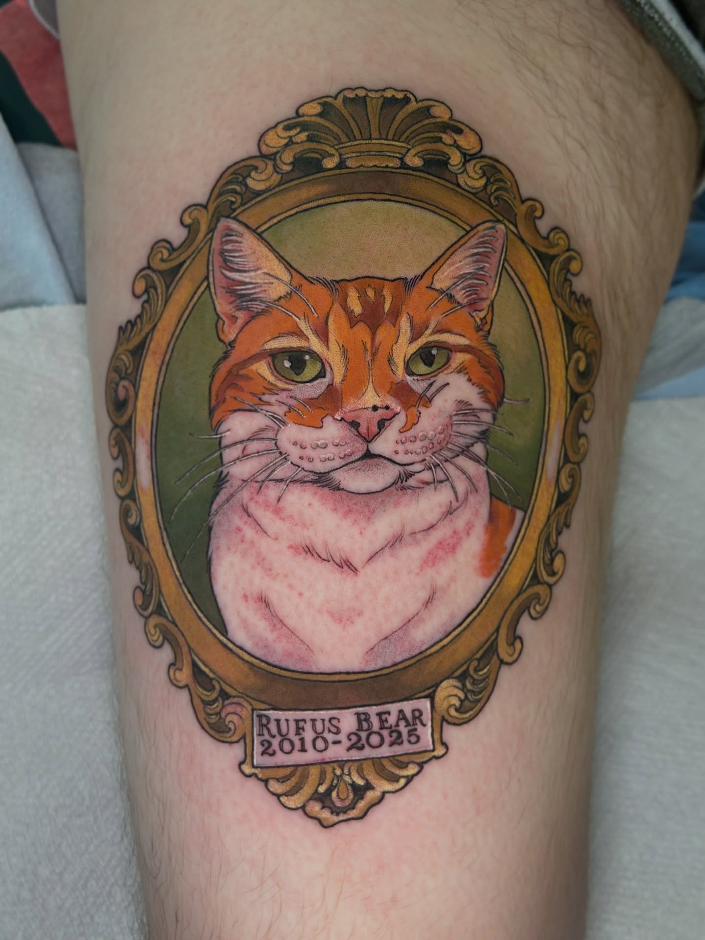 Cat portrait realism tattoo on the thigh by Anna Sylvan Tattoos