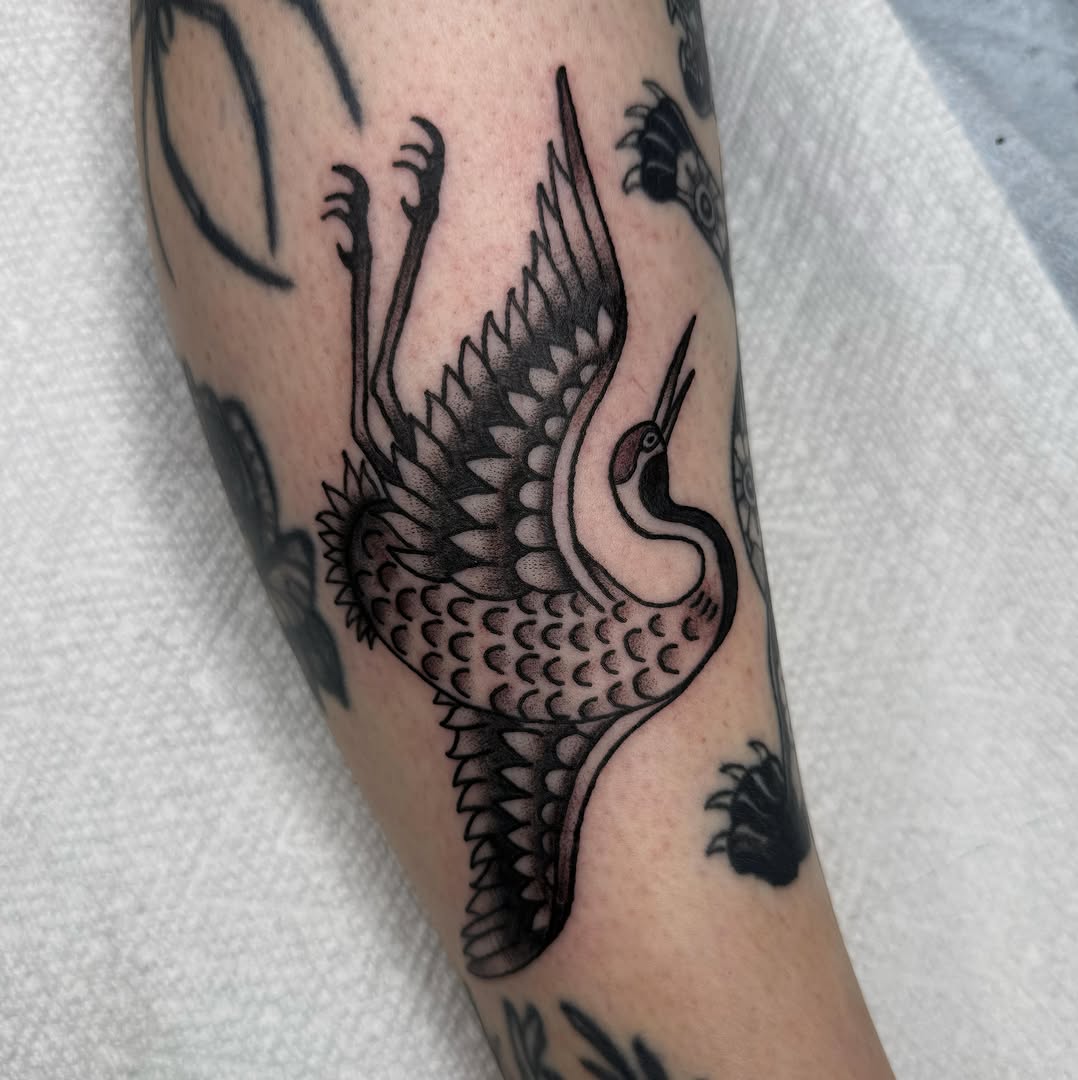 Crane American traditional tattoo on the forearm by 𝕮𝖆𝖘𝖊𝖞 𝕭𝖆𝖘𝖍𝖊𝖗