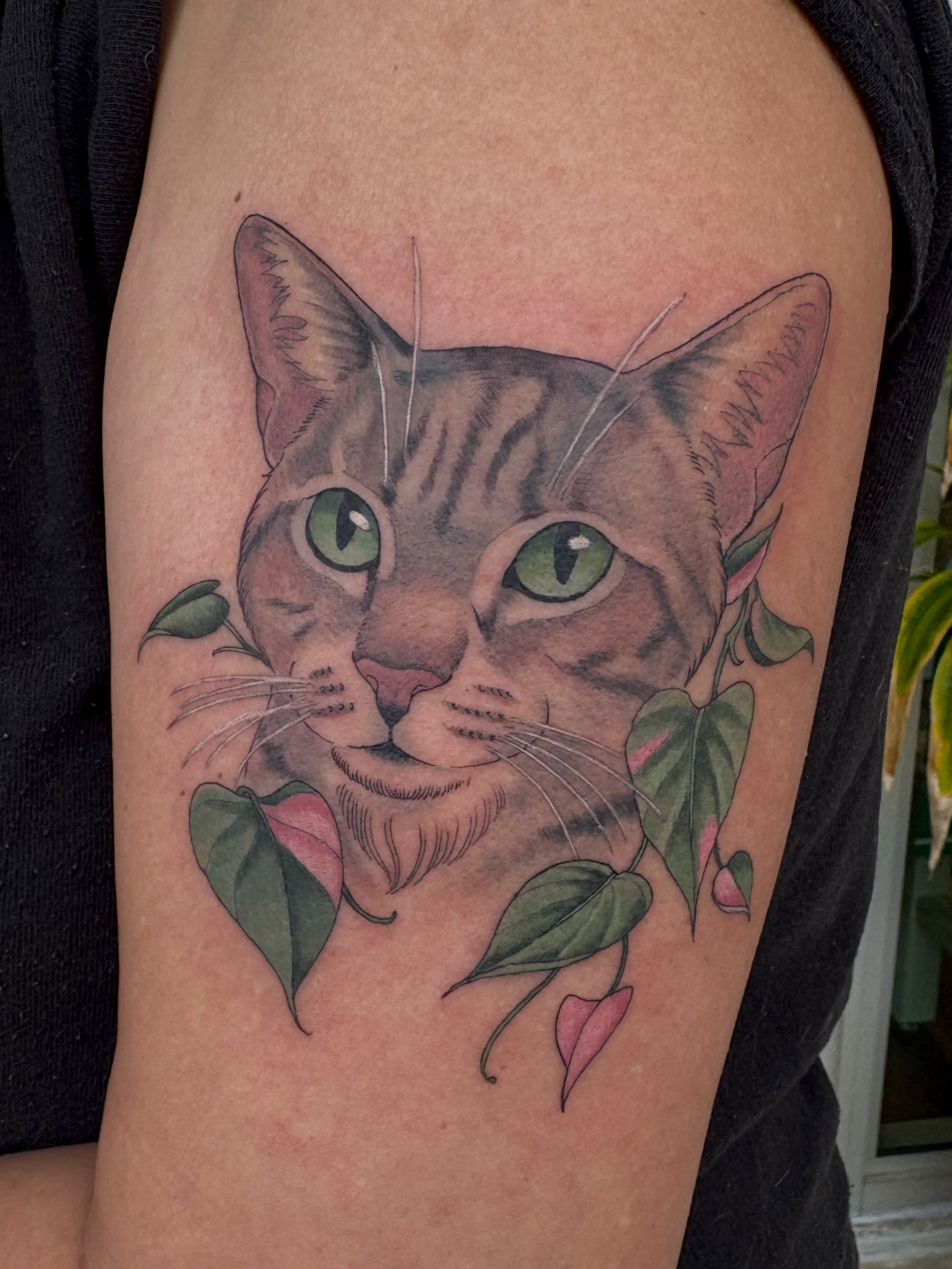 Cat realism tattoo on the forearm by Miami Tattoo Artist π Mel Carrasco