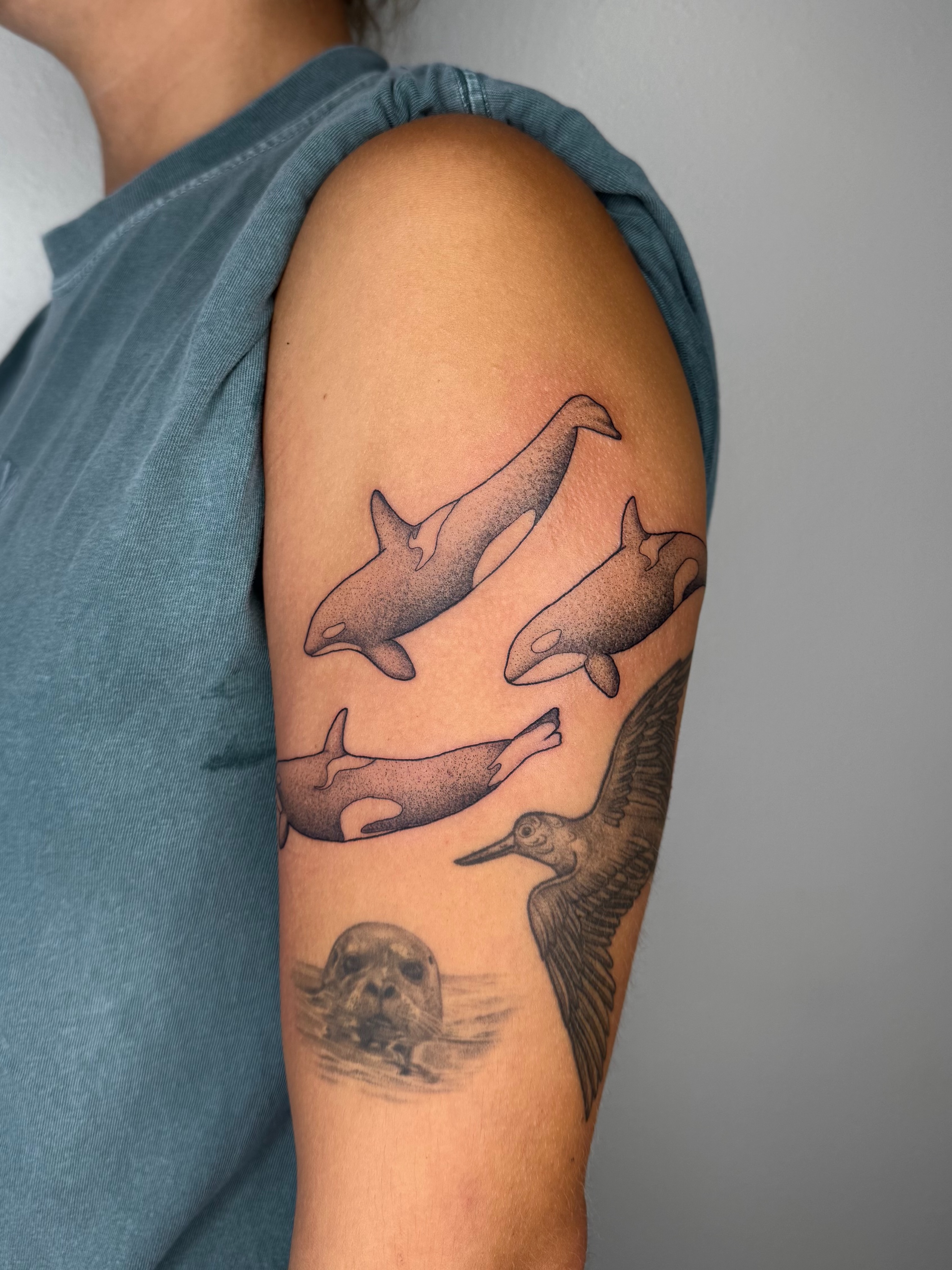 Tattoo by @shan_tattoos — dotwork, realism