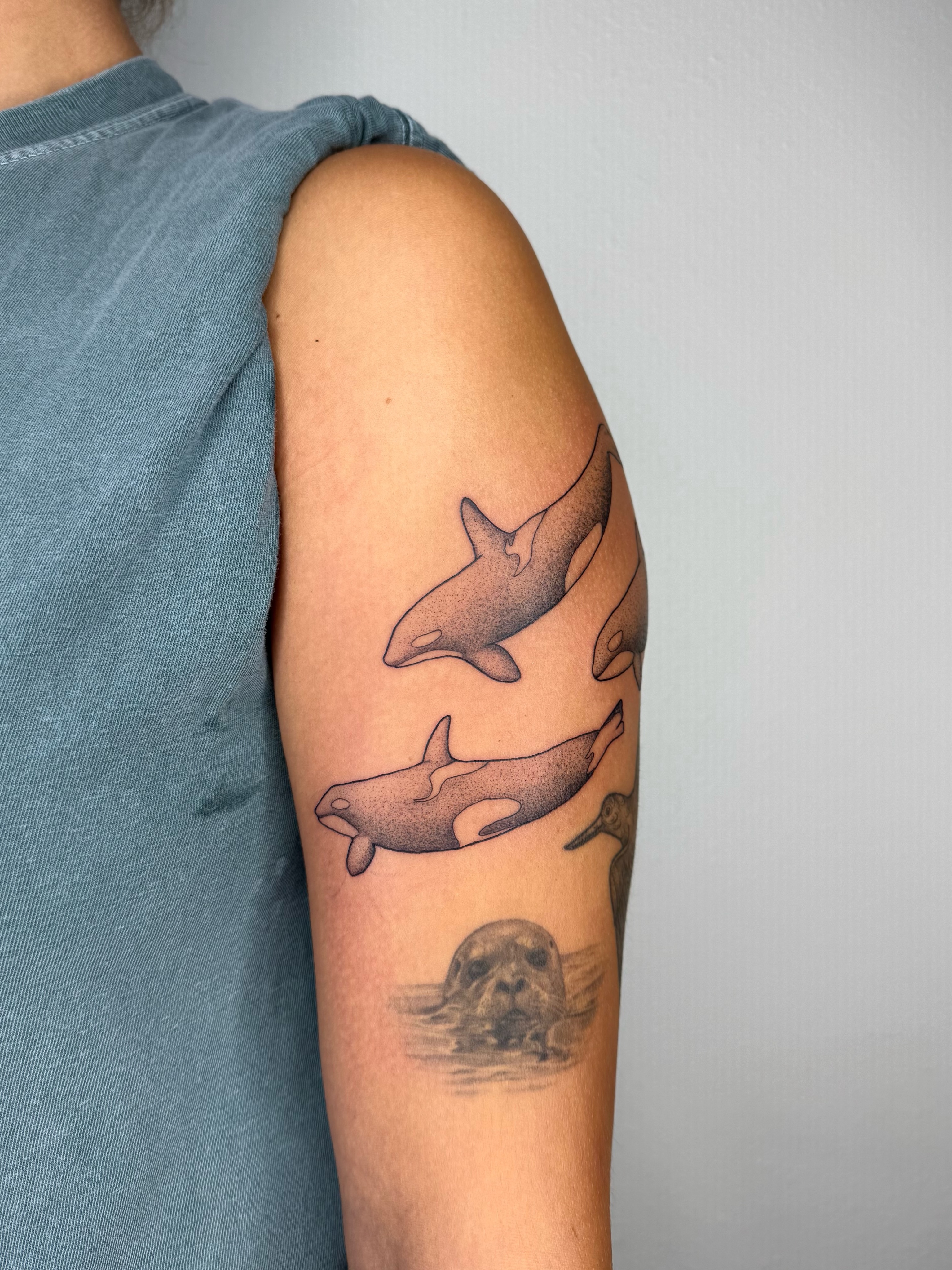 Tattoo by @shan_tattoos — dotwork