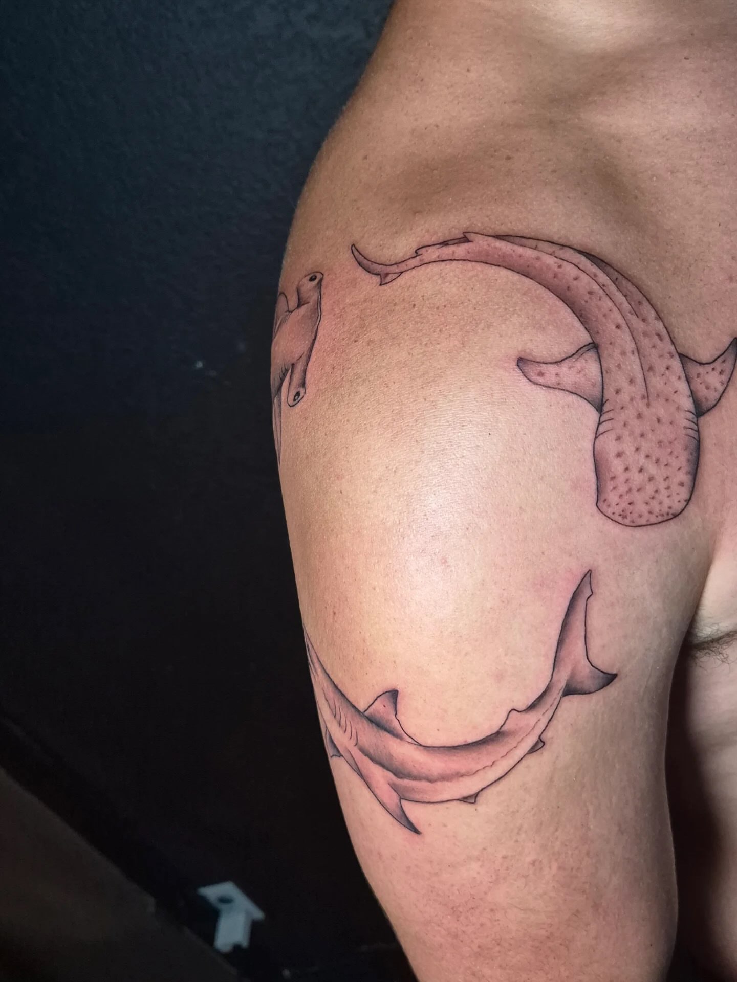 Tattoo by @indigoicarus999 — black_and_grey