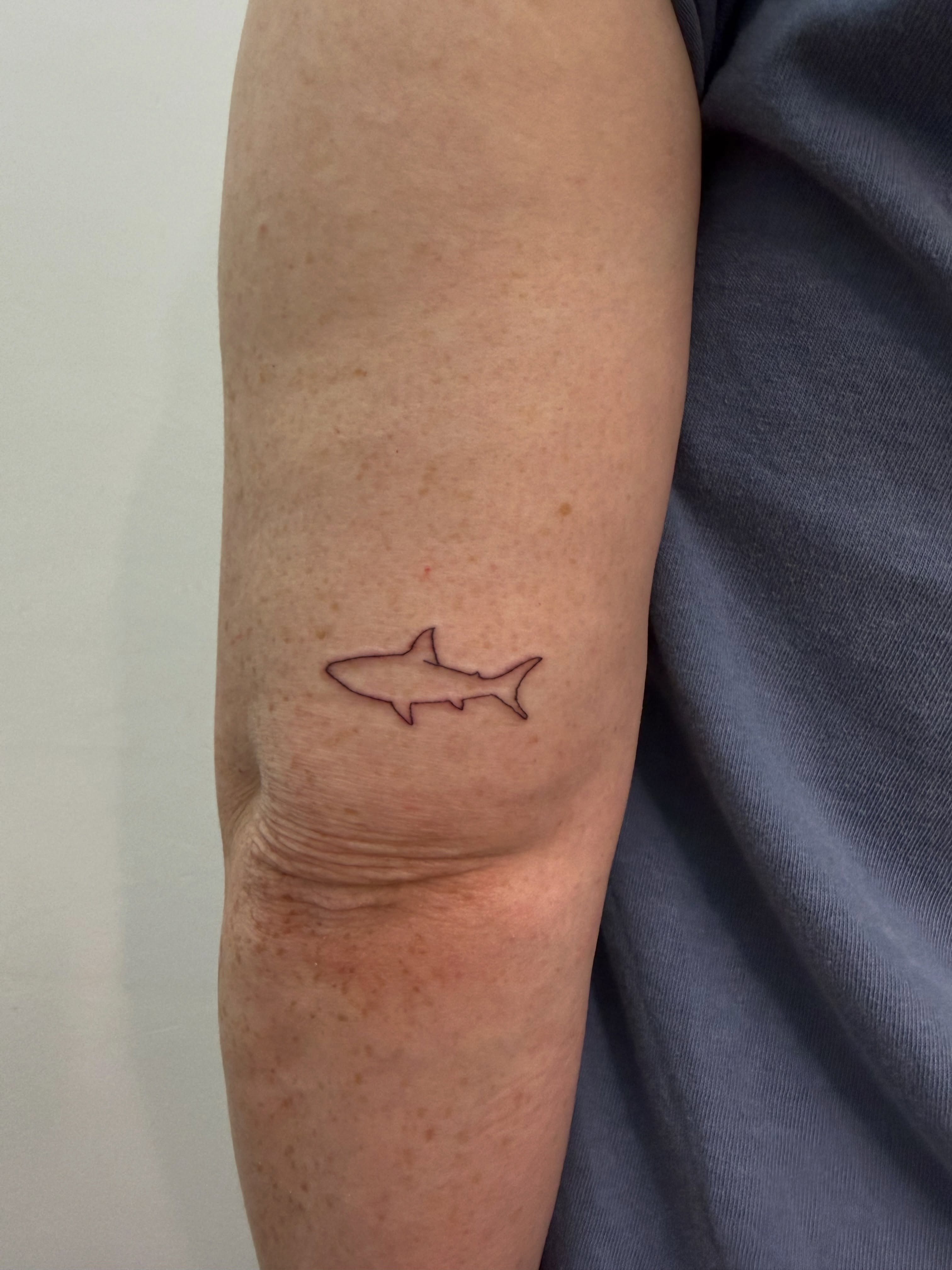 Shark minimalist tattoo on the forearm by Nicole