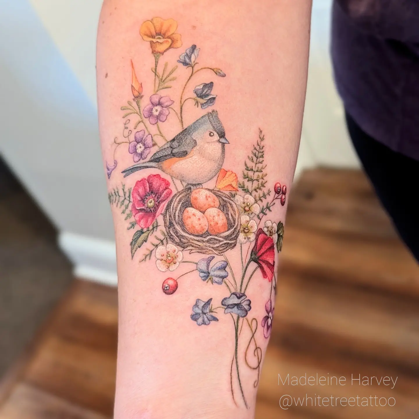 Bird and nest watercolor tattoo on the forearm by Maddie
