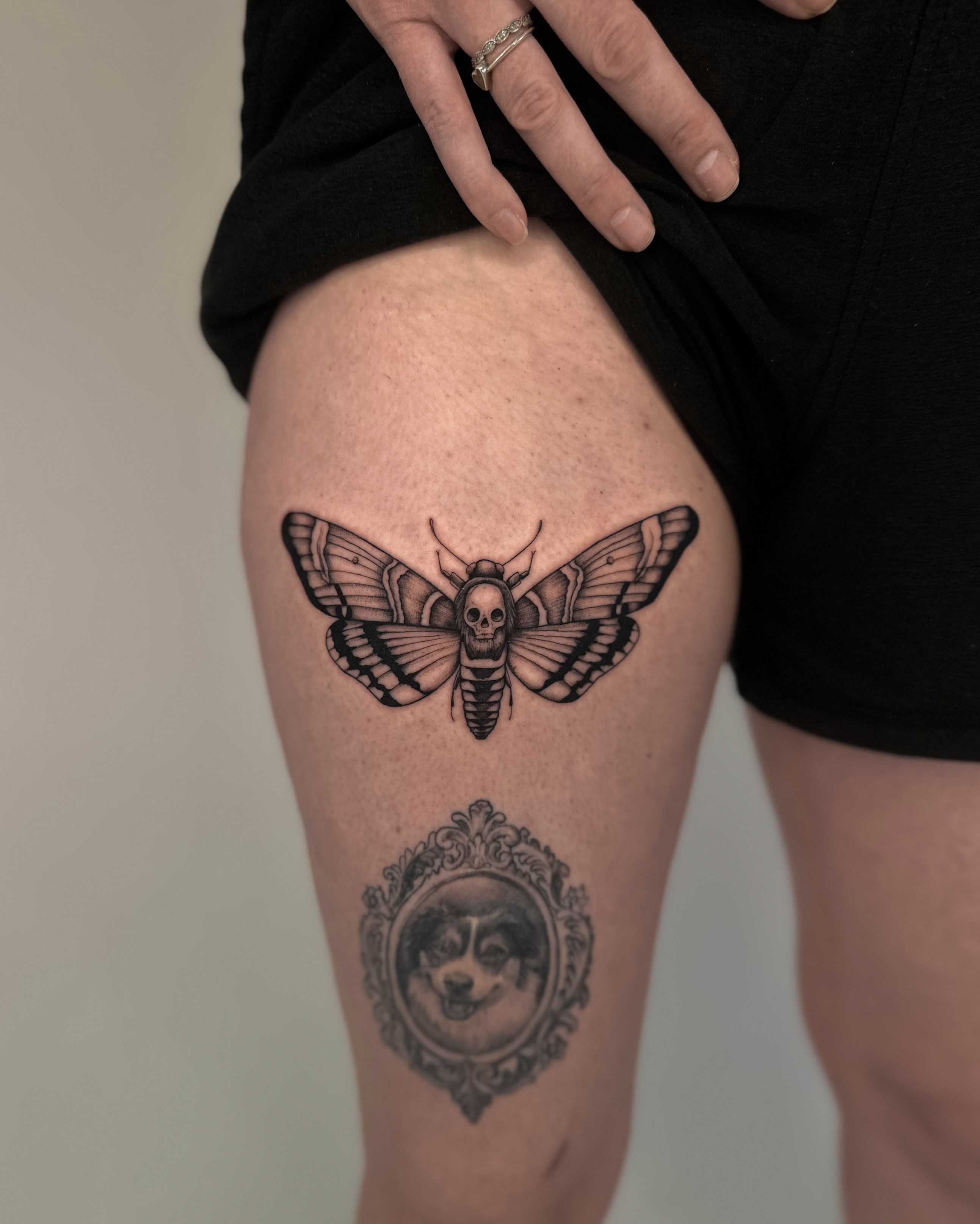 Moth with skull head black and grey tattoo on the thigh by Lauren