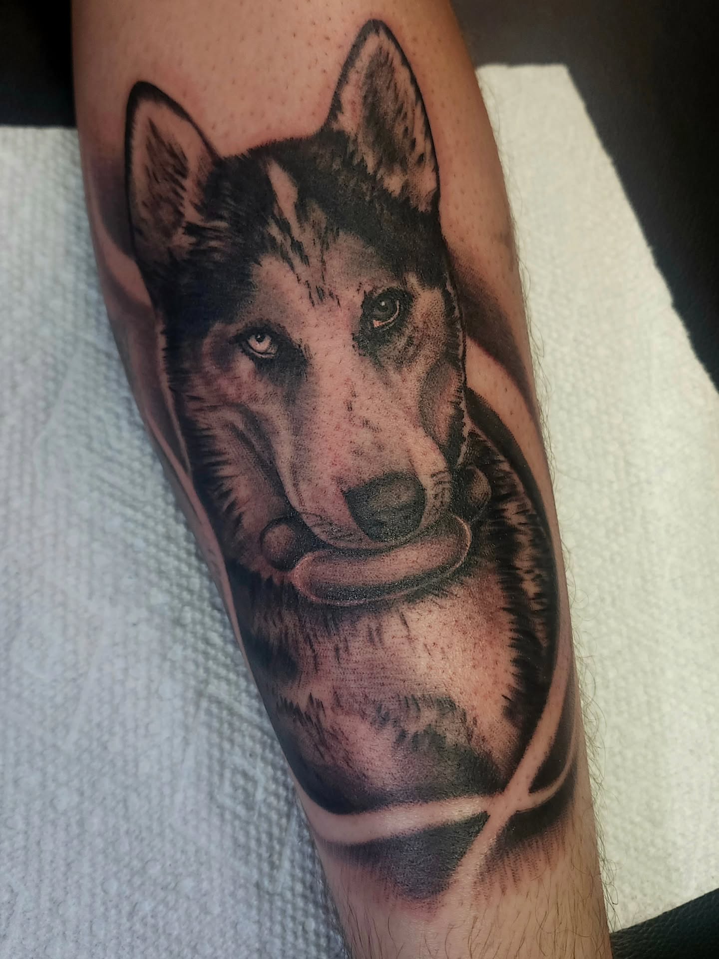 Wolf realism tattoo on the forearm by Chris Wodarski