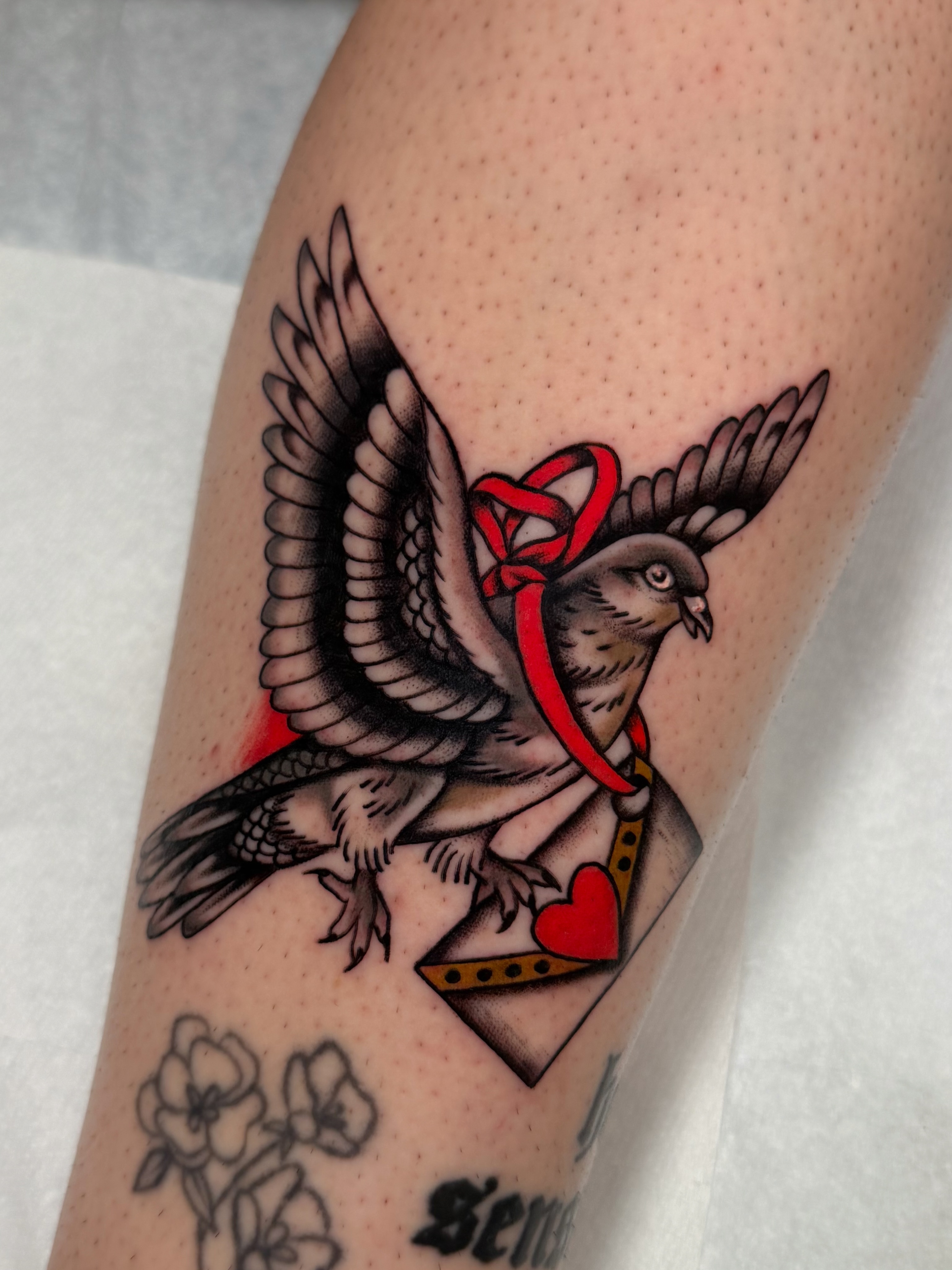Pigeon with ribbon American traditional tattoo on the forearm by Casey Sullivan, San Diego, California