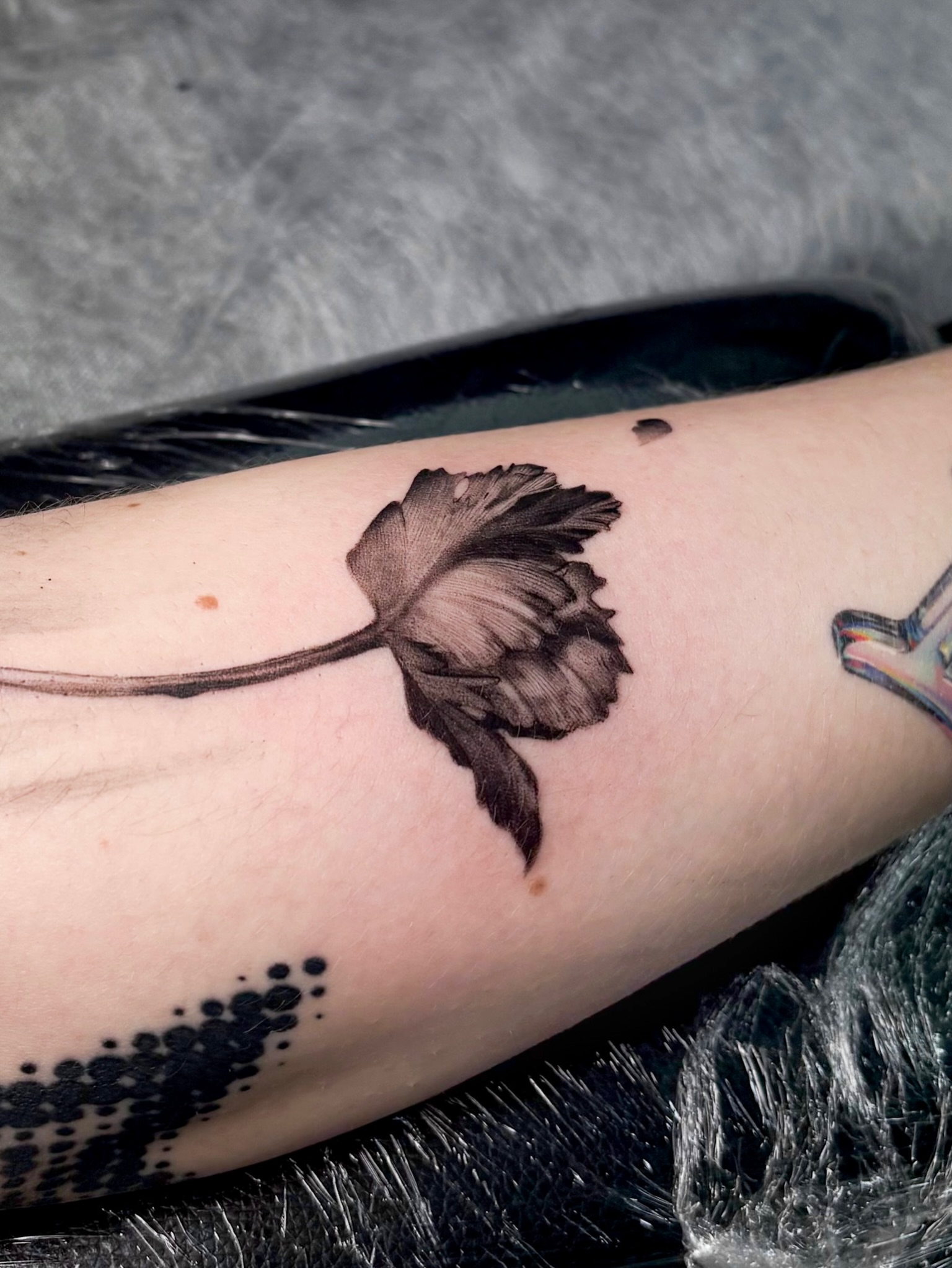 Tattoo by @nyangwol_tattoo — black_and_grey
