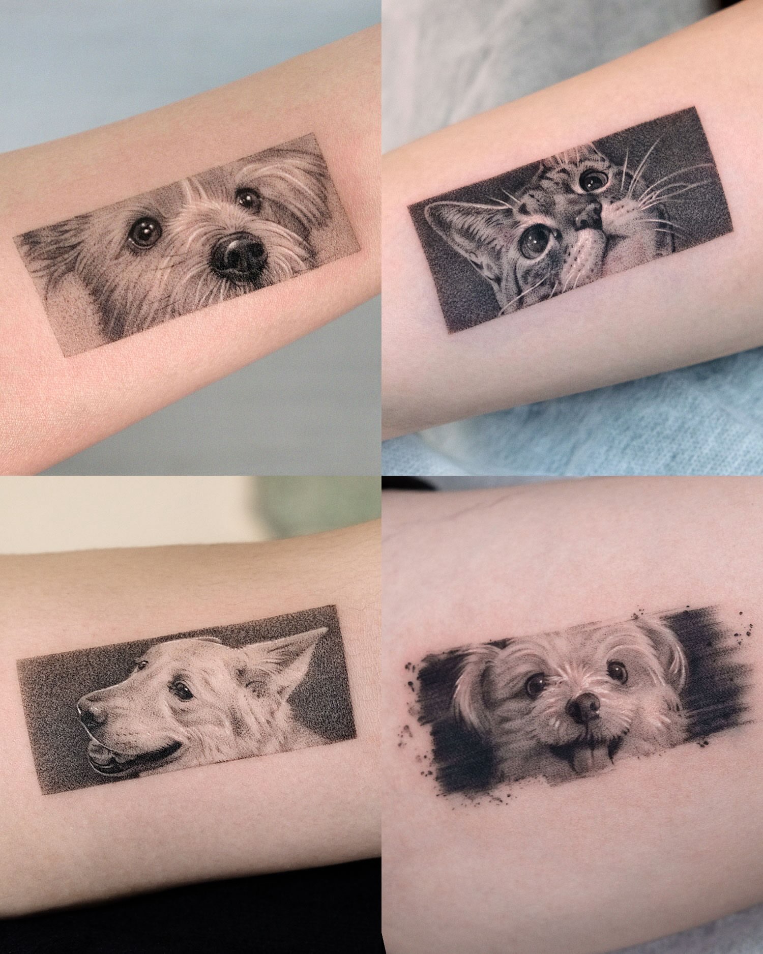 Tattoo by @yumemonchi — dotwork