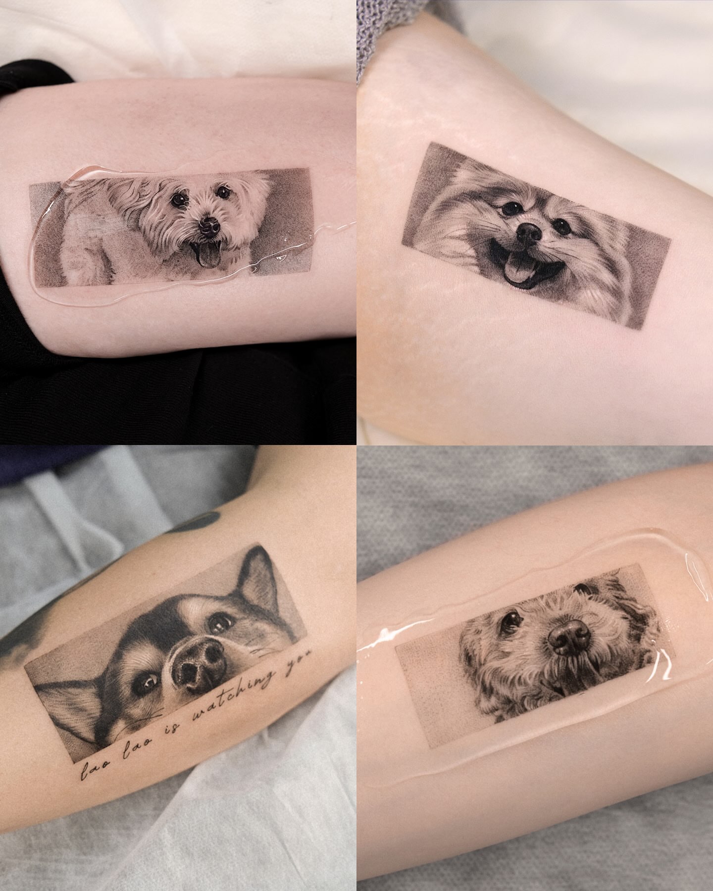 Tattoo by @yumemonchi — realism