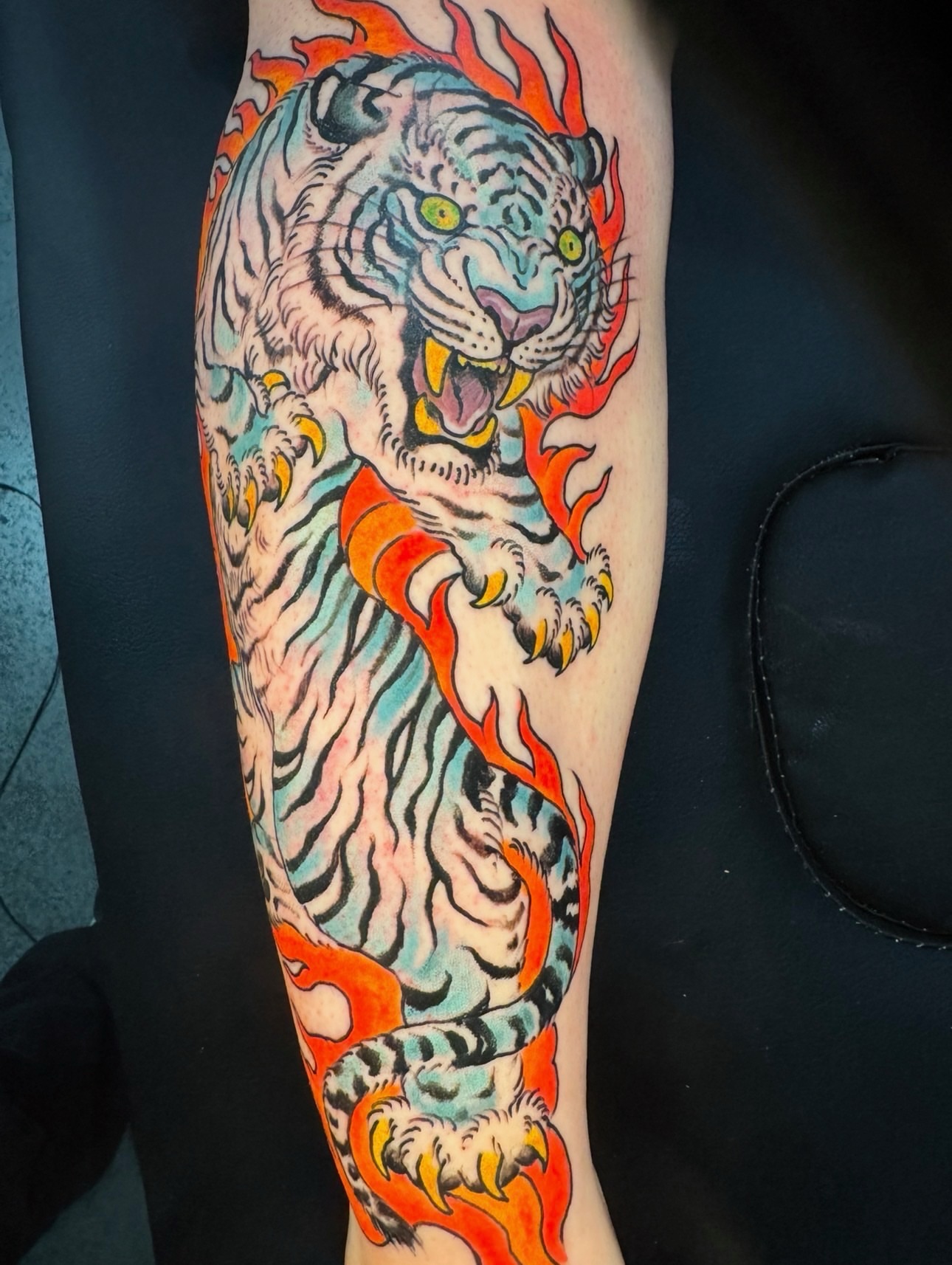 Tiger American traditional tattoo on the forearm by Tim Lehi, Oakland, California