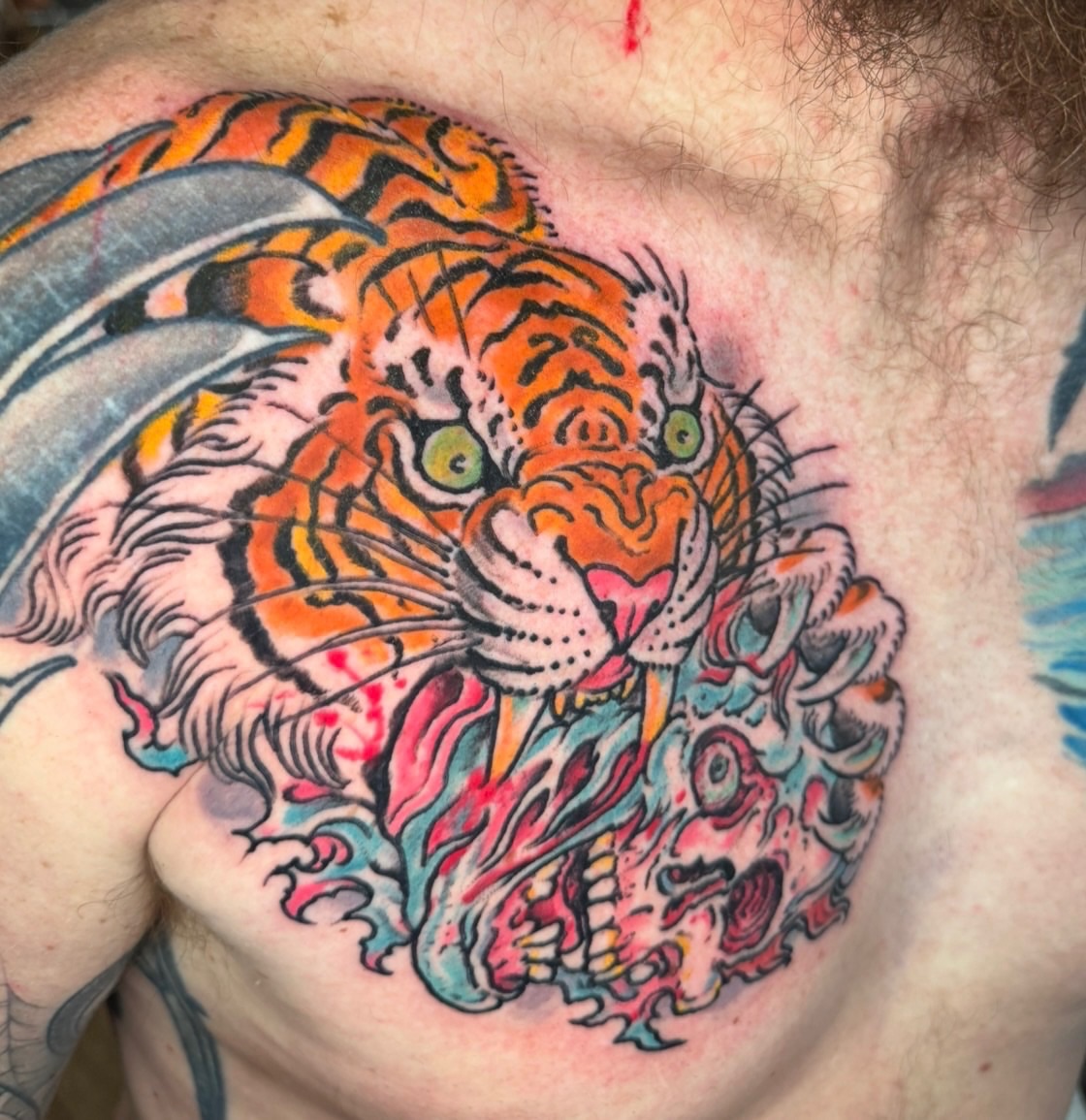 Tiger and skull American traditional tattoo on the chest by Tim Lehi, Oakland, California