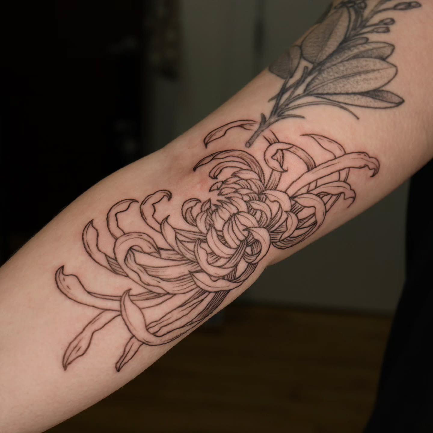 Chrysanthemum black and grey tattoo on the forearm by Veronika Lipchak