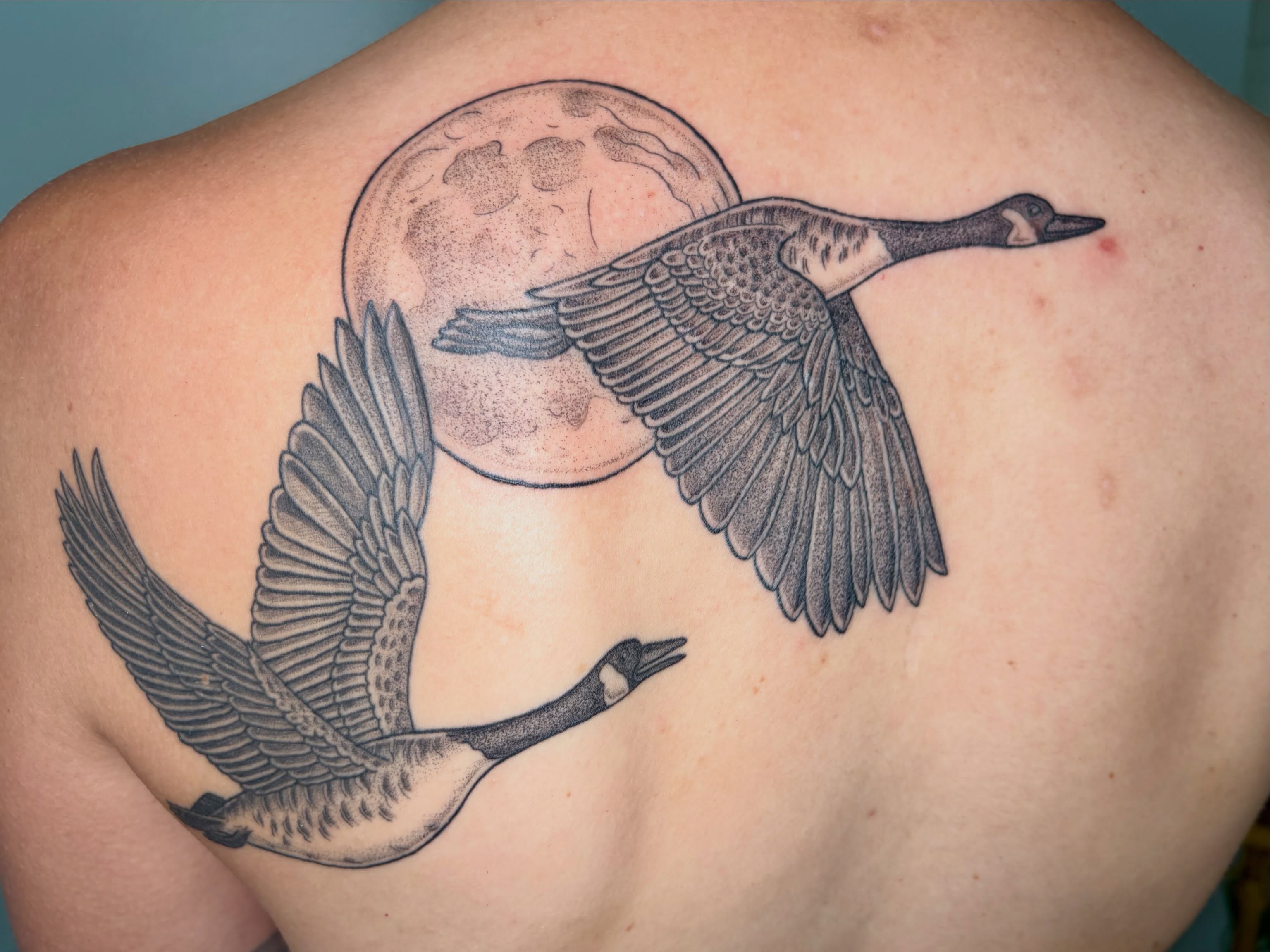 Geese flying black and grey tattoo on the back by Sarah Roach