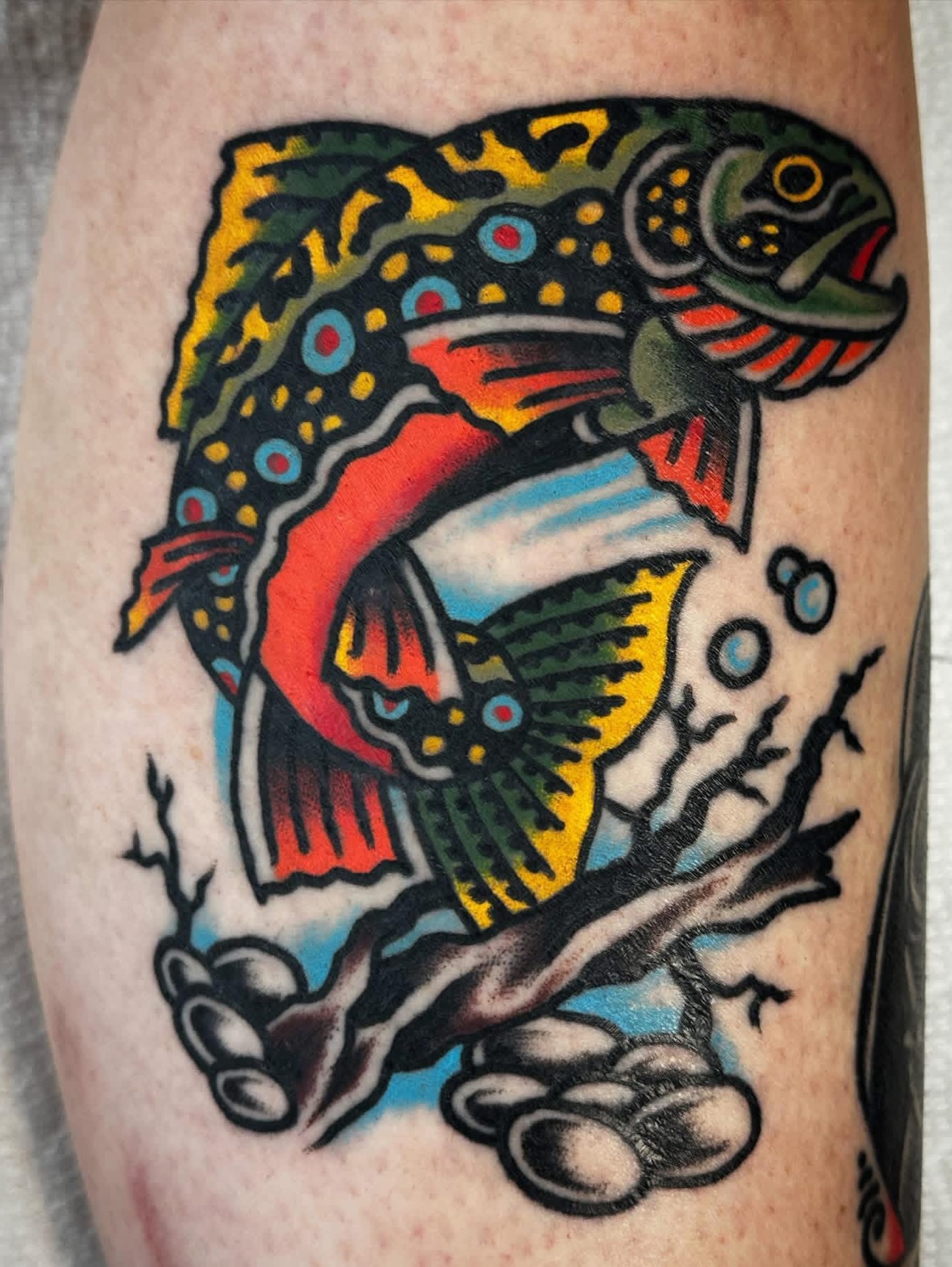 Rainbow trout American traditional tattoo on the forearm by 🌈KNOXVILLE’S FAVORITE TATTOO ARTIST 👽 마법 버섯