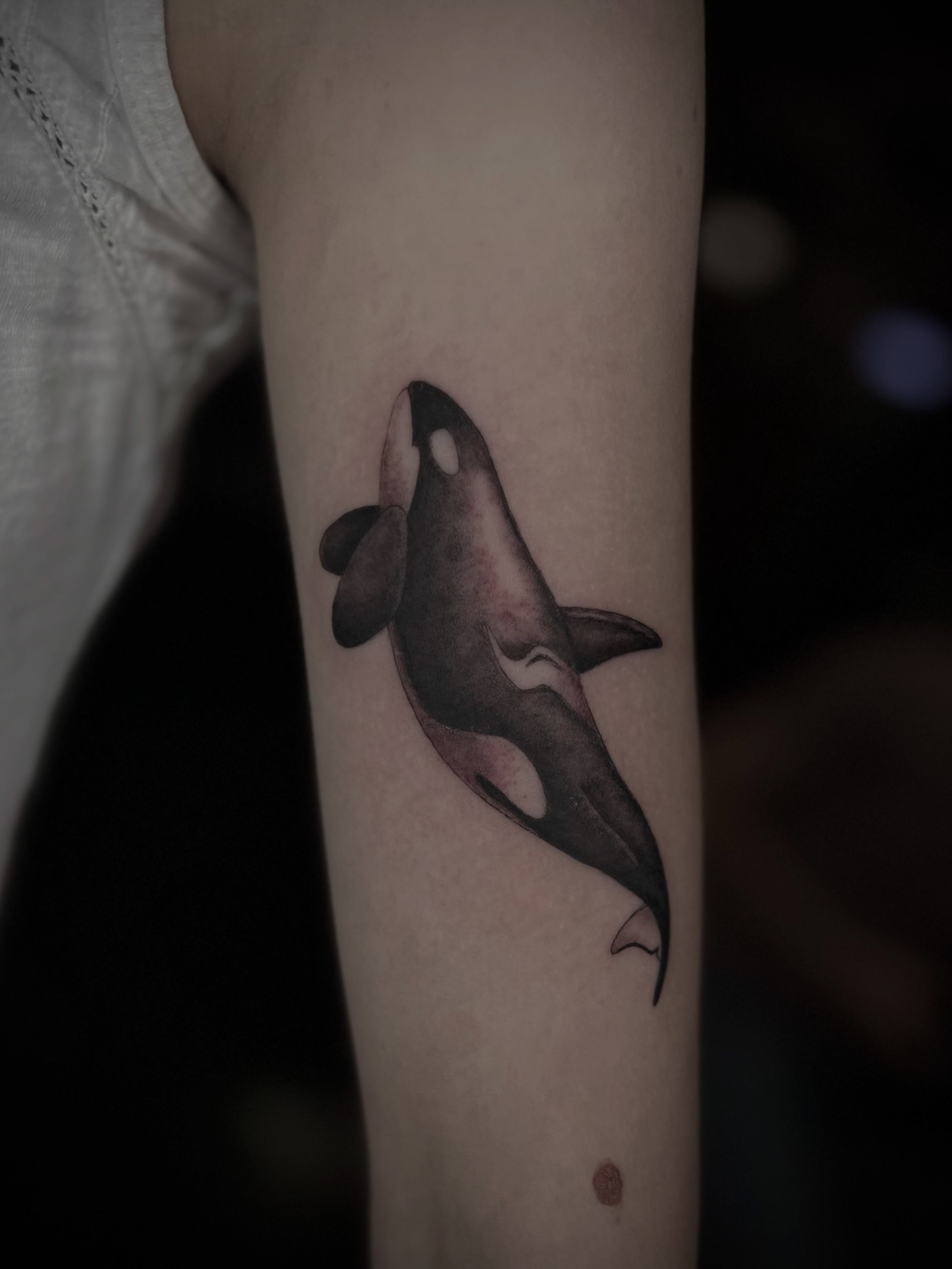 Orca shark realism tattoo on the forearm by Lexi Rose