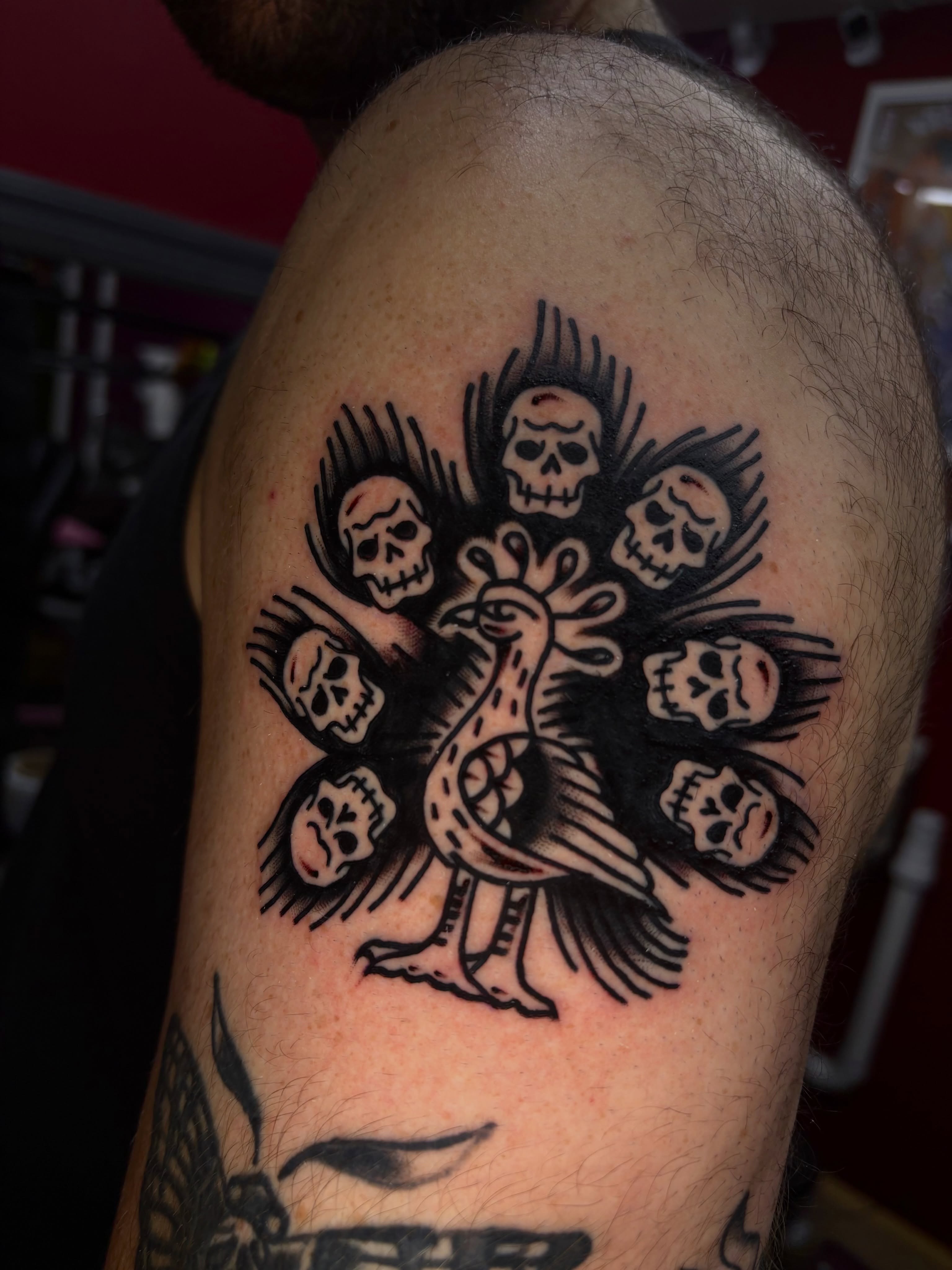Peacock surrounded by skulls American traditional tattoo on the shoulder by Jenna Clayton