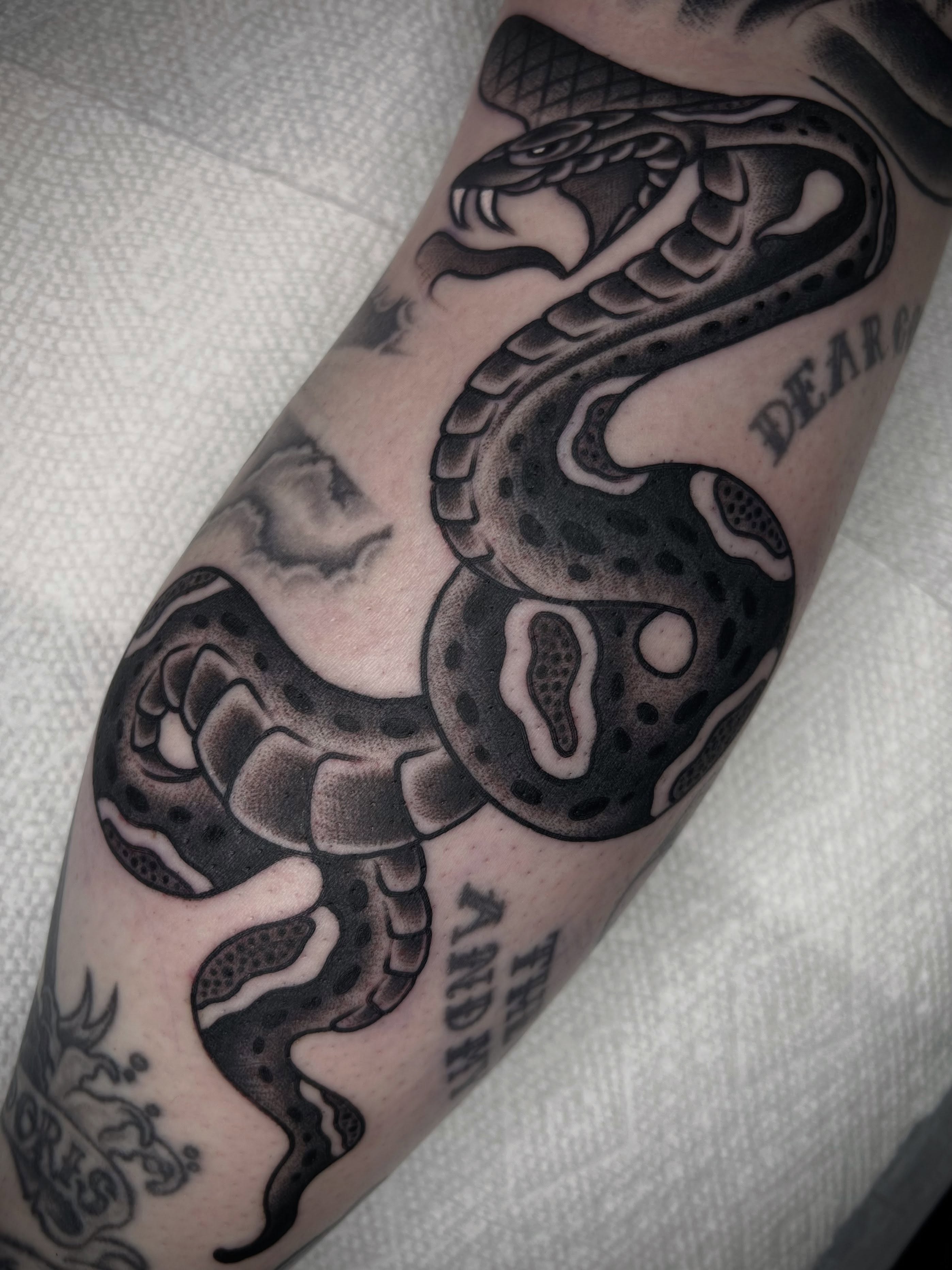 Snake black and grey tattoo on the forearm by ᴍᴀᴛᴛ ᴀʟᴇxᴀɴᴅᴇʀ