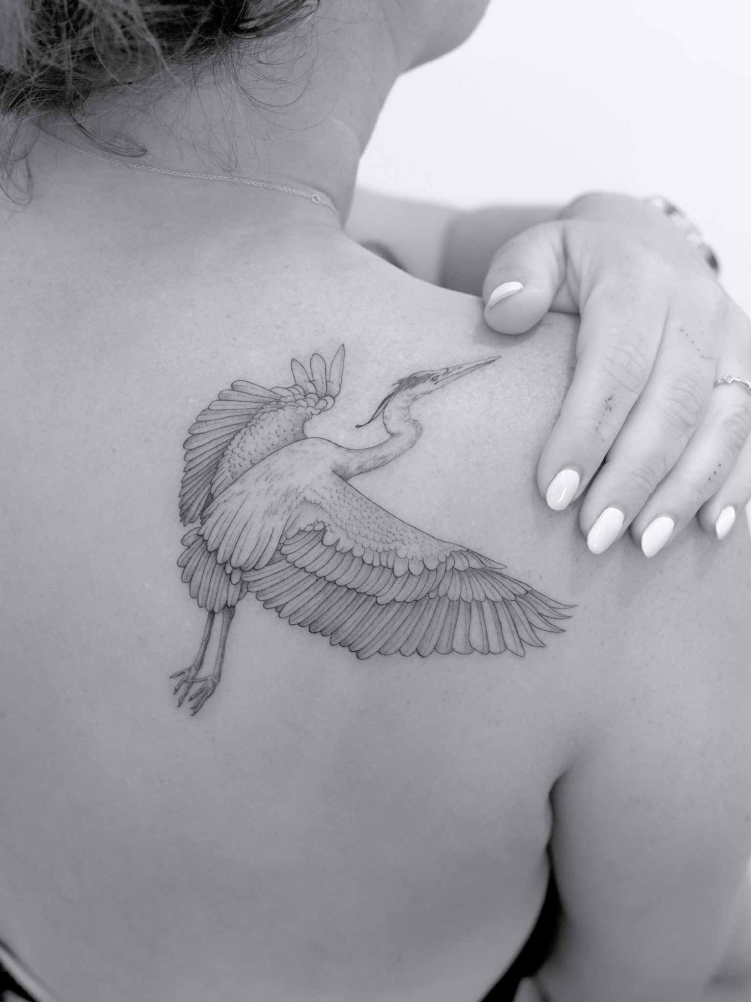 Heron black and grey tattoo on the shoulder by Julia