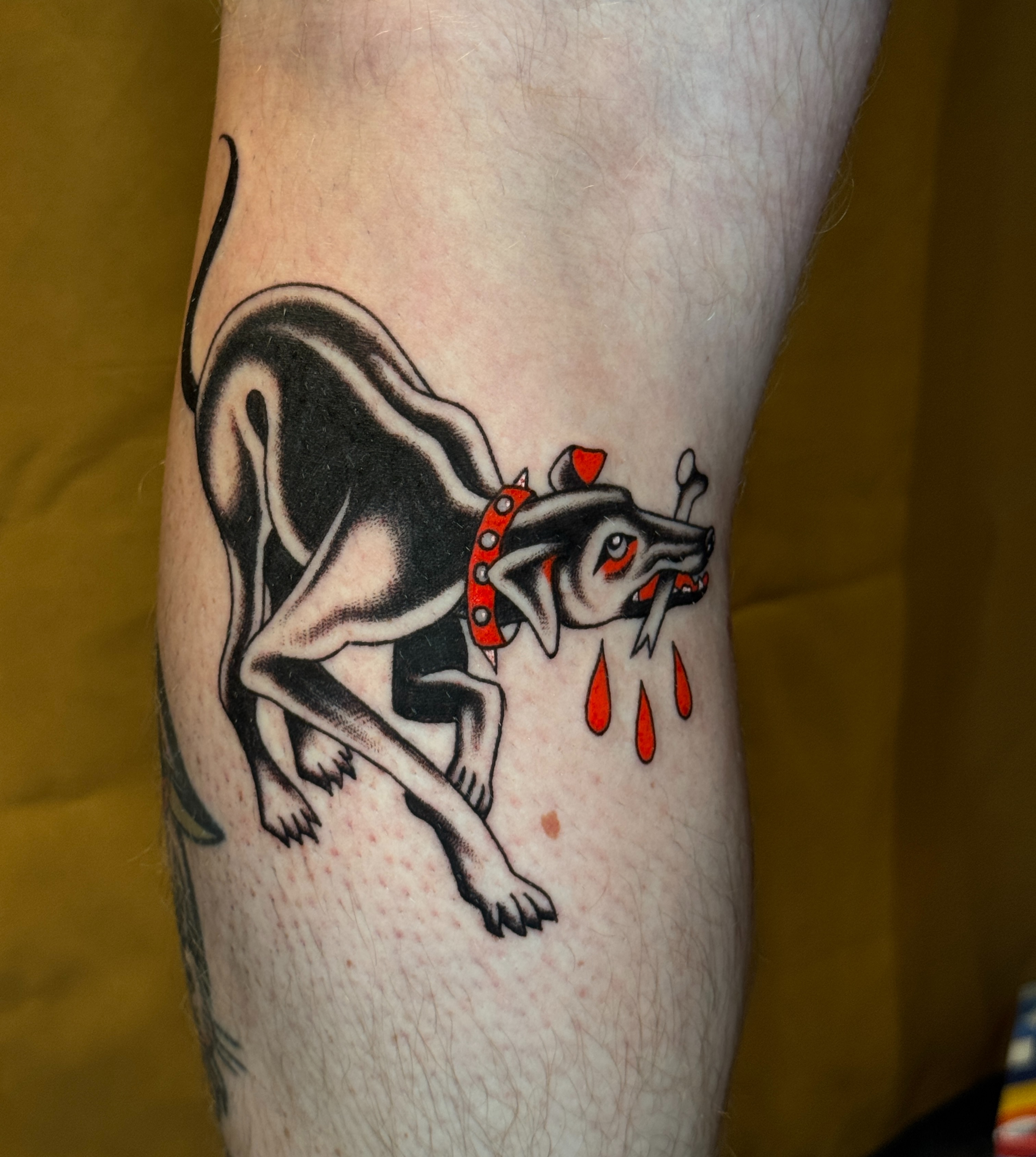 Dog with ladybug American traditional tattoo on the forearm by Allie Barringer