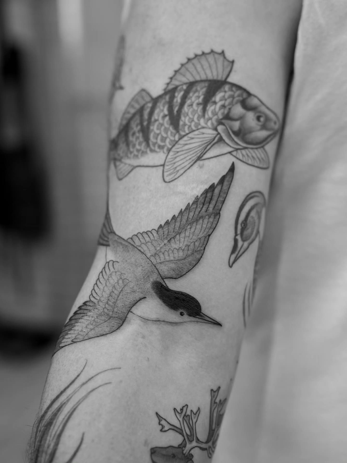 Tattoo by @bramadey — black_and_grey, realism