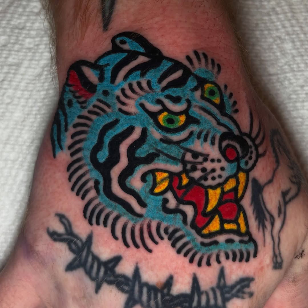 Tiger American traditional tattoo on the forearm by Santo Zelaya, San Francisco, California