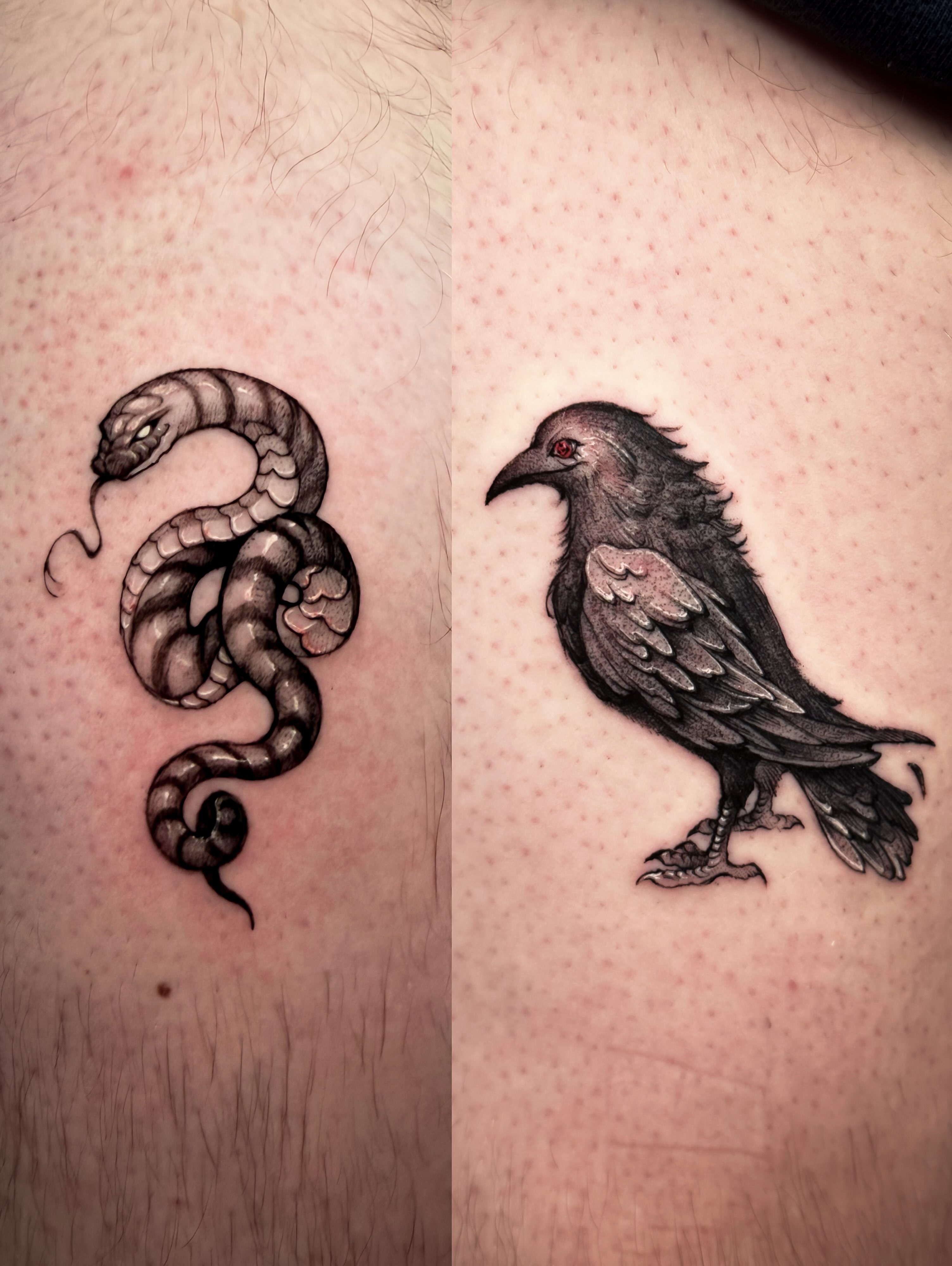 Snake and crow realism tattoo on the shoulder by Chris Jang