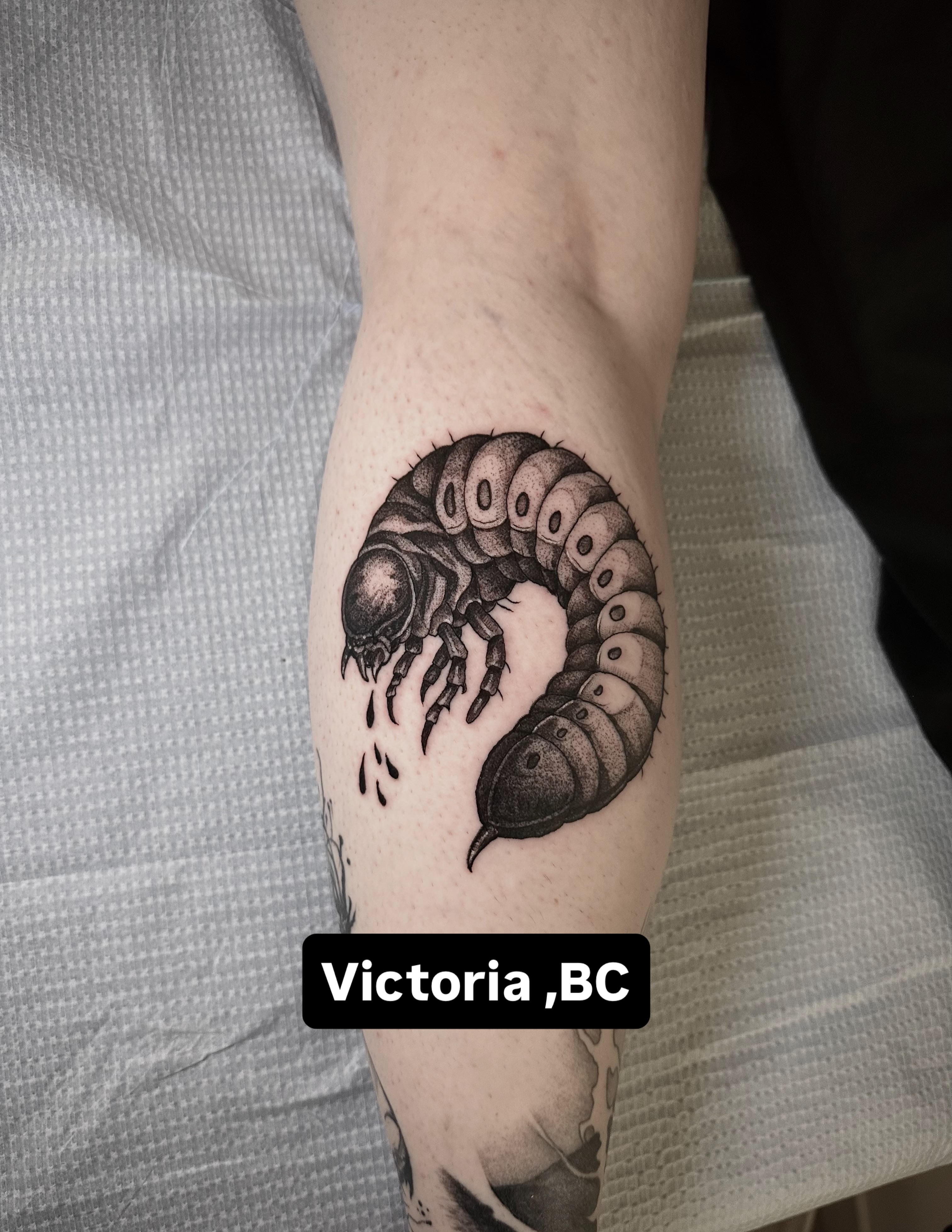 Tattoo by @pablomoreiratattoo — black_and_grey