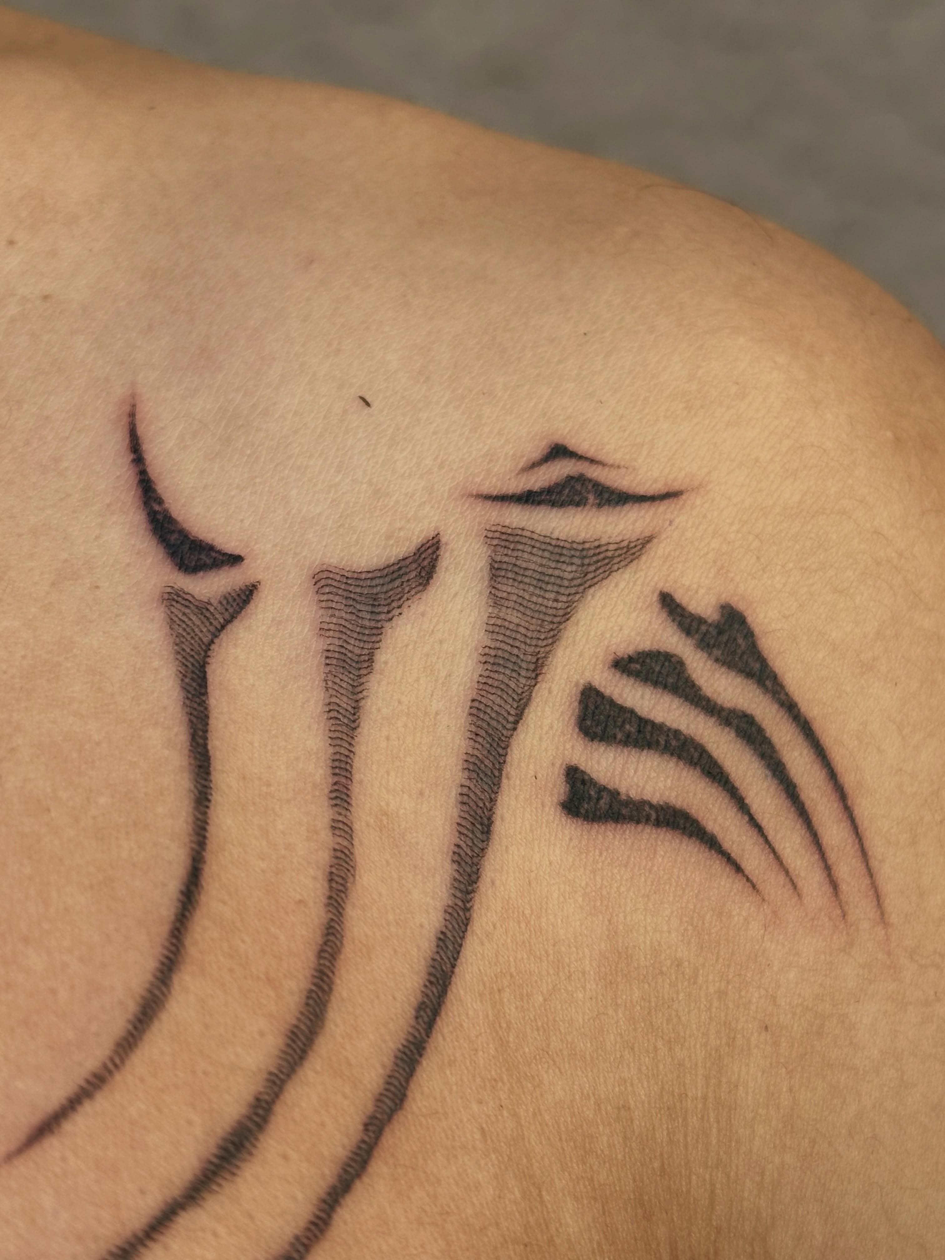 Tattoo by @guayabaiqueso — black_and_grey