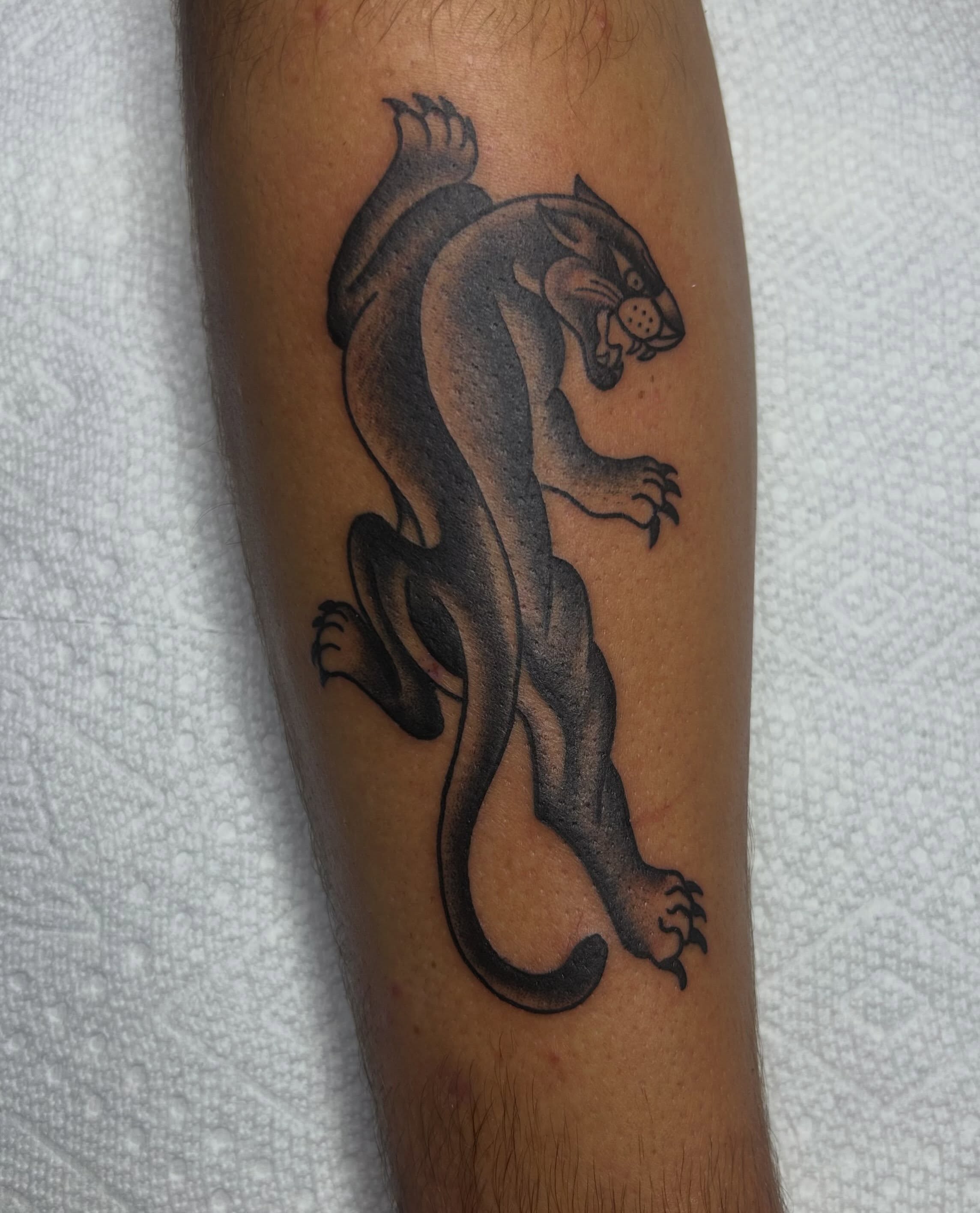 Panther black and grey tattoo on the forearm by Zach Andrews
