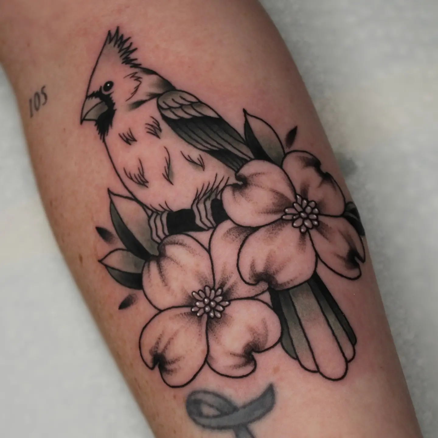 Cardinal and flowers black and grey tattoo on the forearm by ᴍɪʟᴀ ꜱᴀꜱɪᴇᴛᴀ