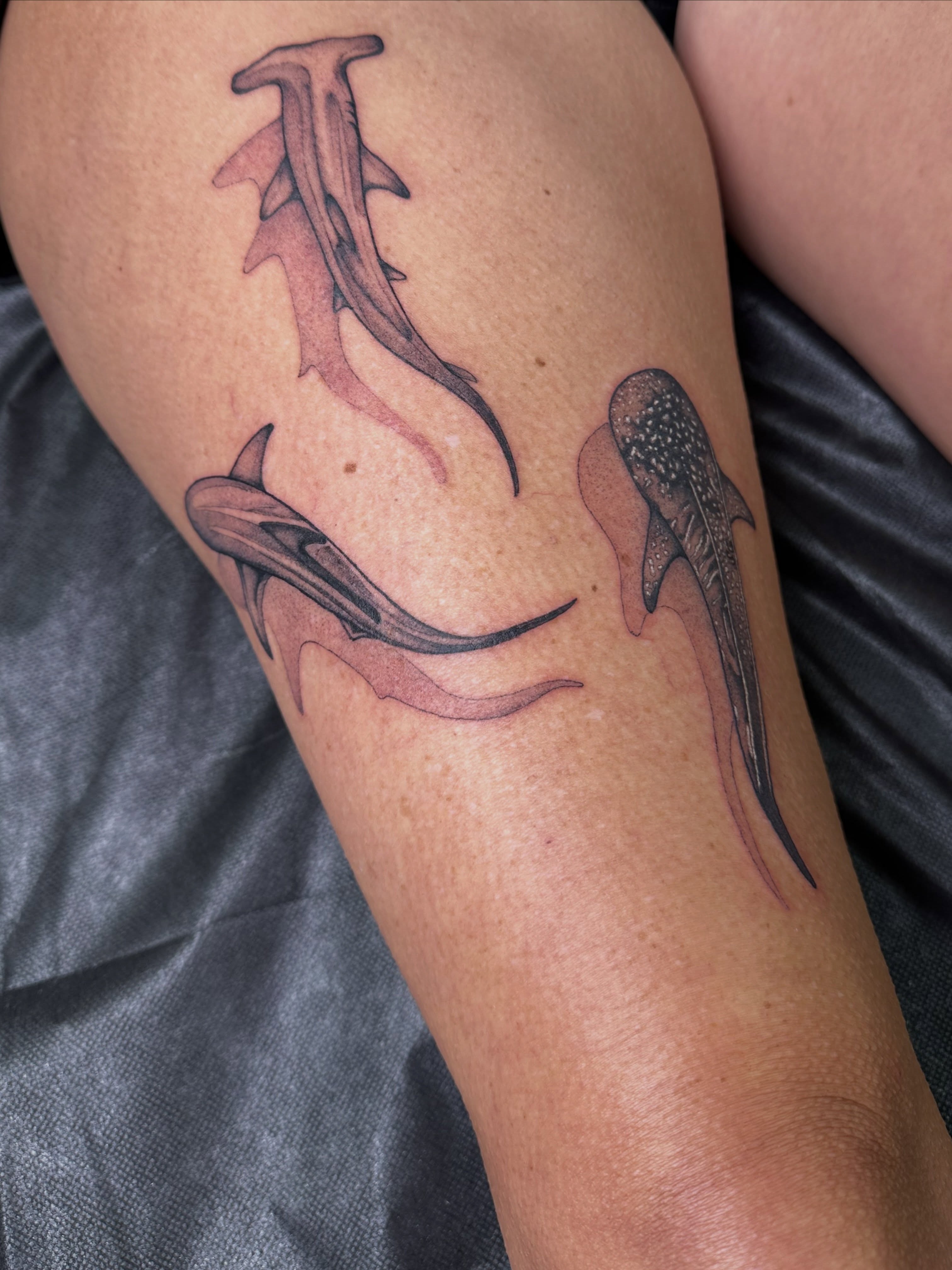 Sharks black and grey tattoo on the forearm by Ciera Farni, Murray, Utah