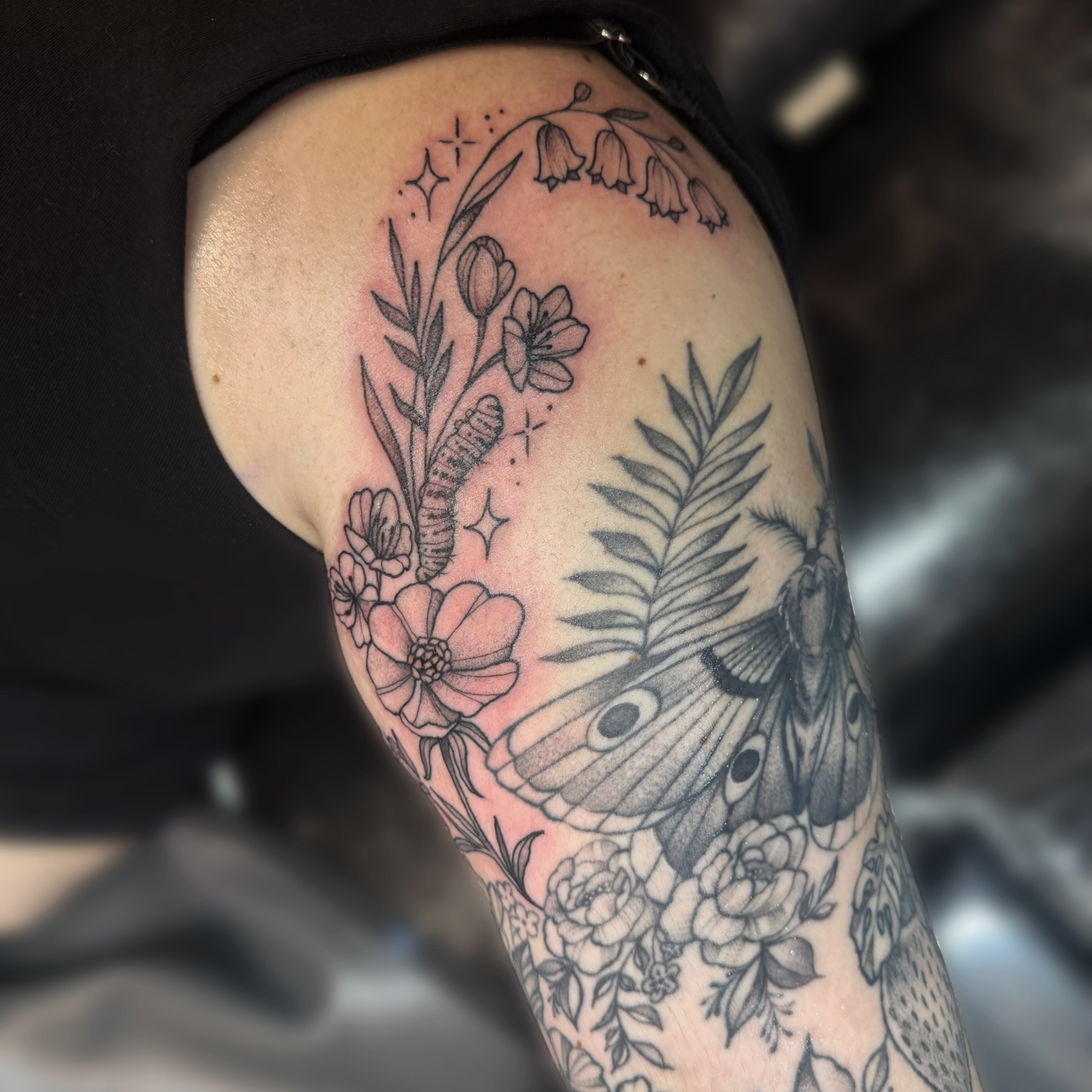 Floral and butterfly black and grey tattoo on the upper arm by Kelsey 🖤 Tattoo Artist, Waterford Township