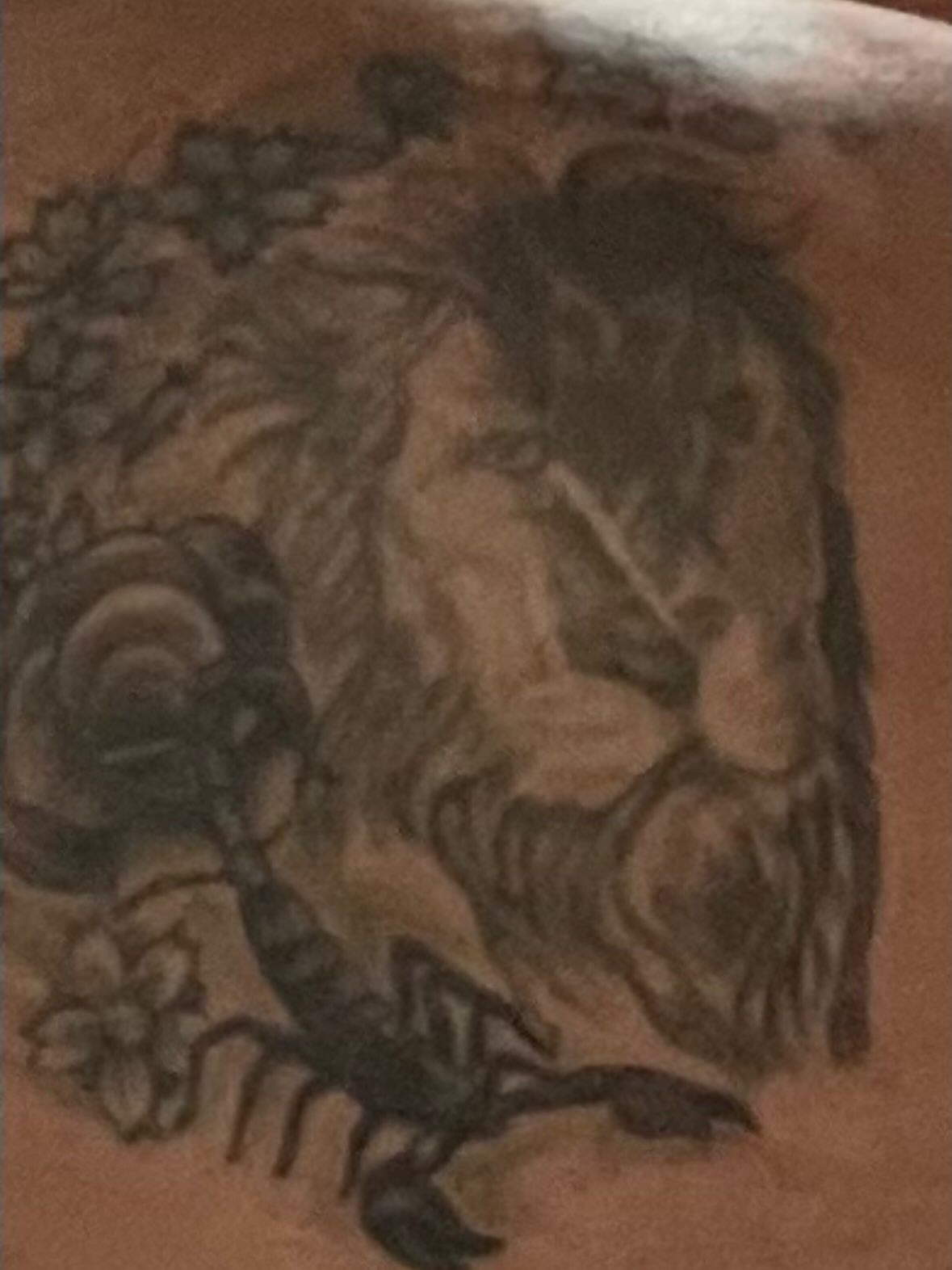 Scorpion and skull black and grey tattoo by Evan